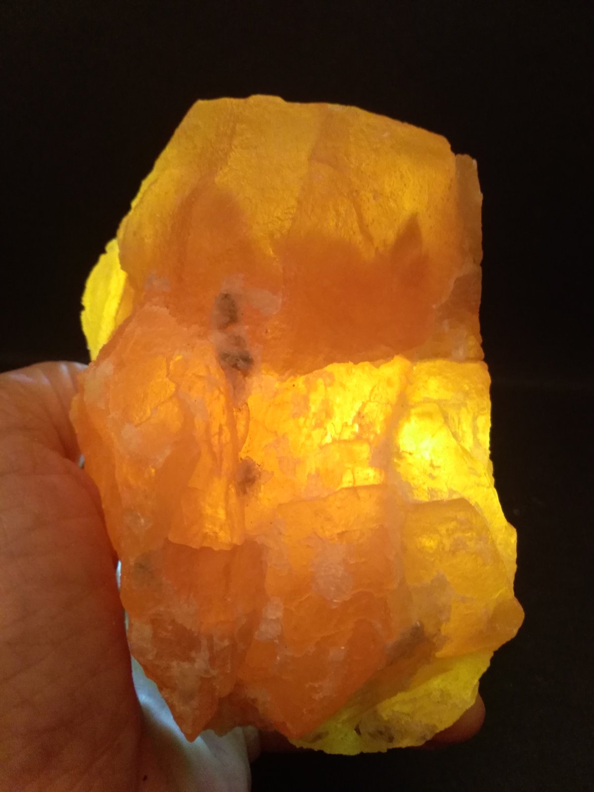 Sulphur
11 x 8 cm
(Autor: Sante Celiberti)