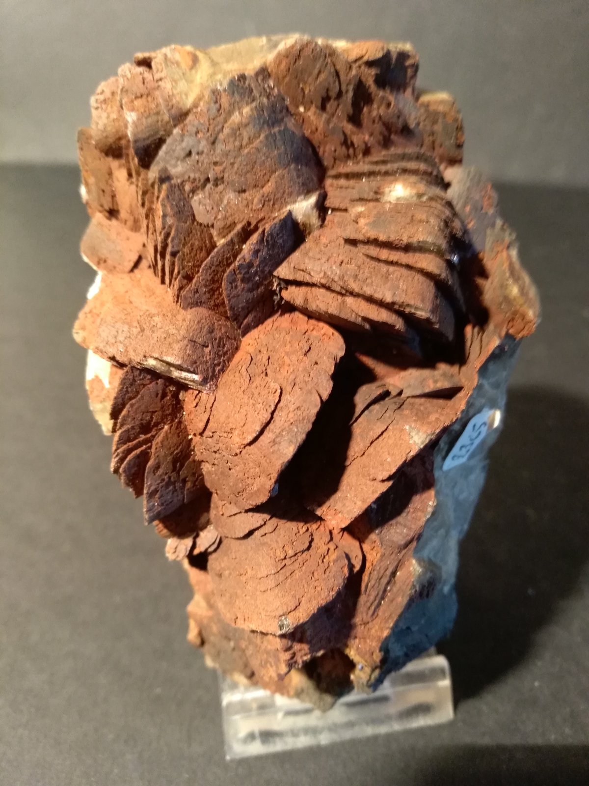 Siderite
10 x 6 cm
(Autor: Sante Celiberti)