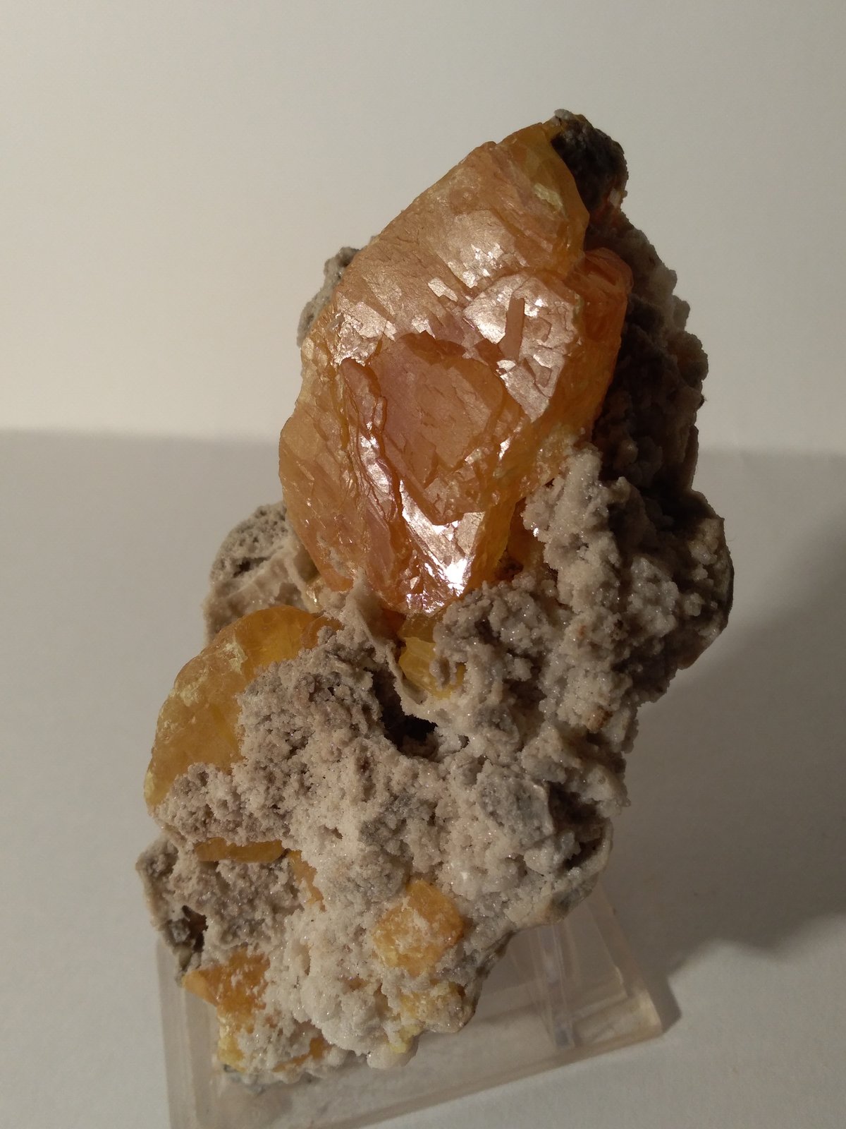 Sulphur
13,5 x 6,5 cm
(Autor: Sante Celiberti)