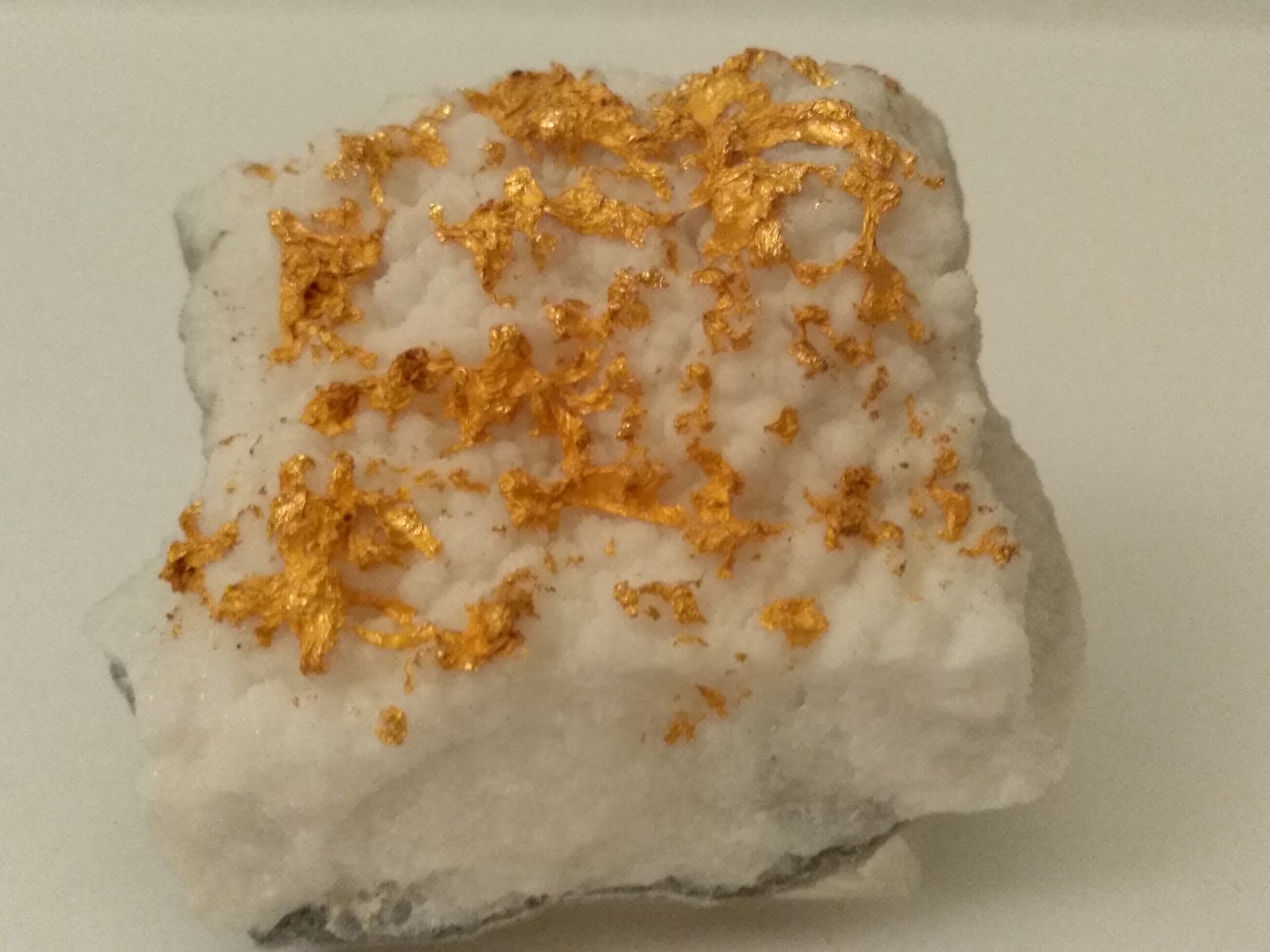 Gold
56 x 55 mm
(Autor: Sante Celiberti)