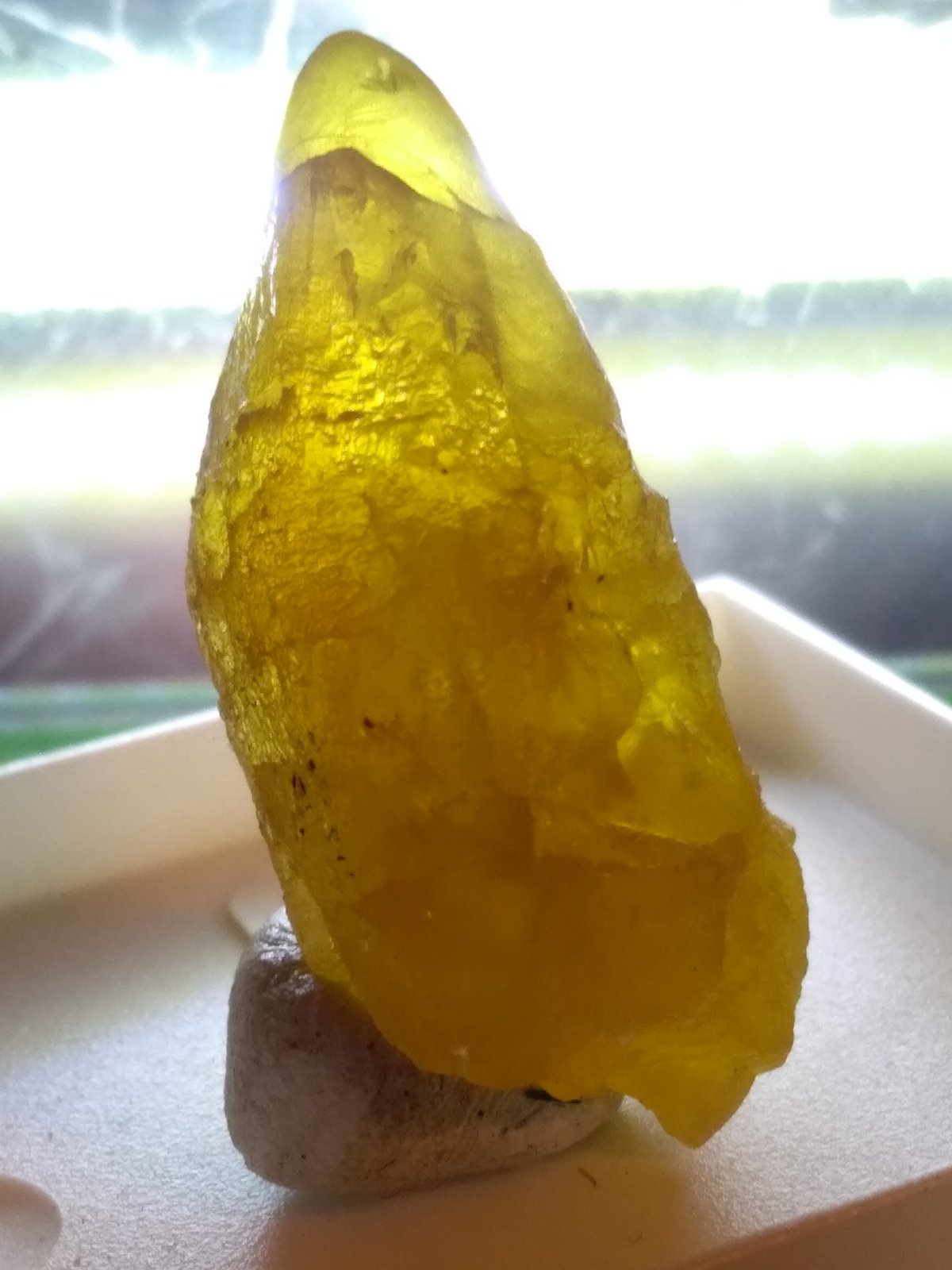Sulphur
29 x 13 mm
(Autor: Sante Celiberti)