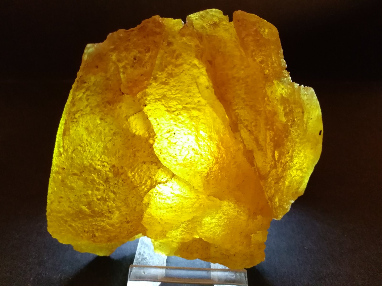 Sulphur
10,7 x 9 cm
(Autor: Sante Celiberti)