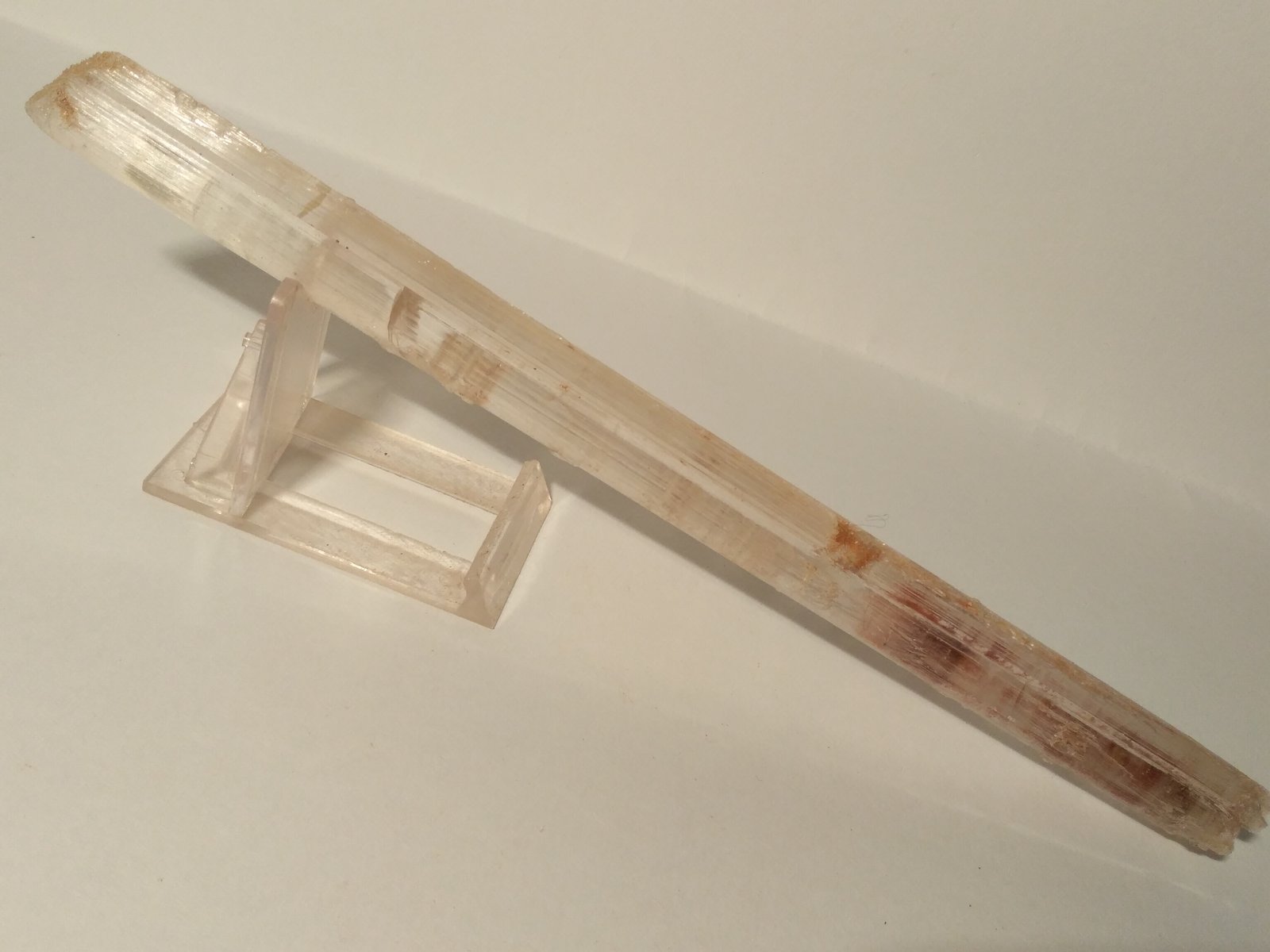 Gypsum
27 x 3 cm
(Autor: Sante Celiberti)