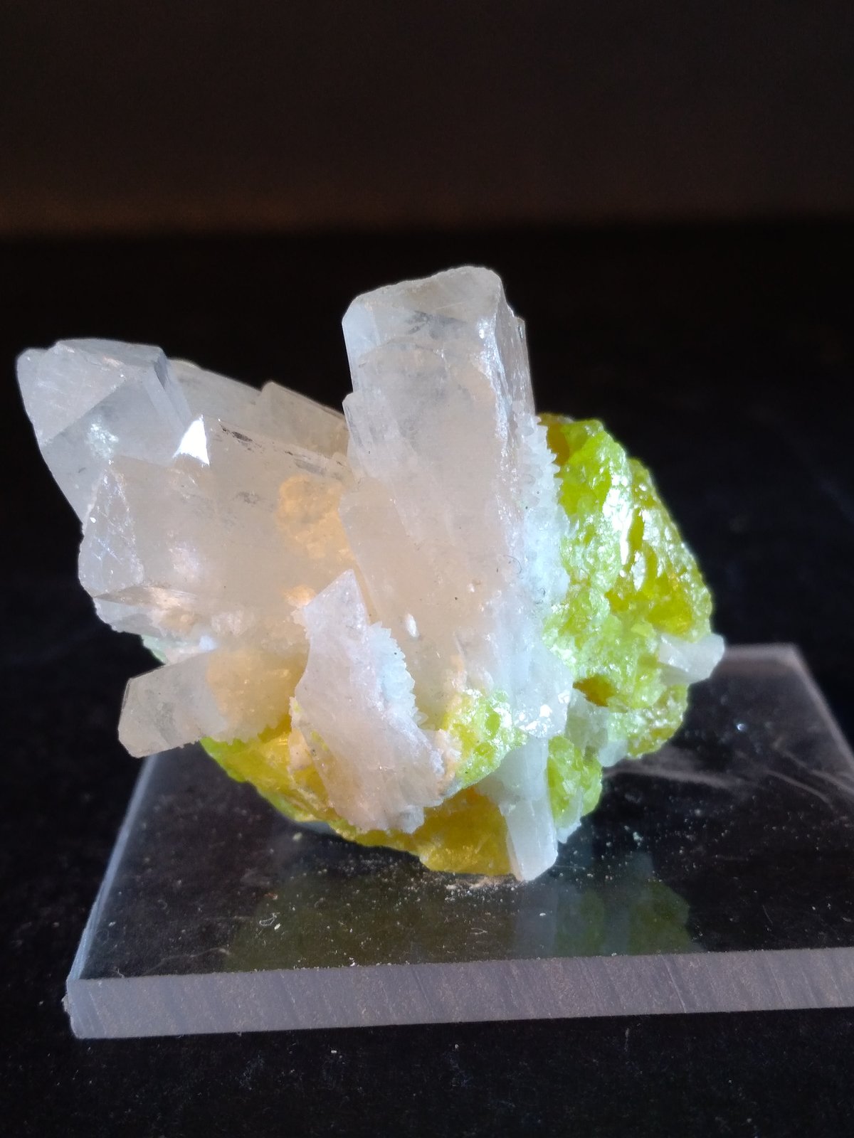 Celestine, Sulphur
30 x 30 mm
(Autor: Sante Celiberti)