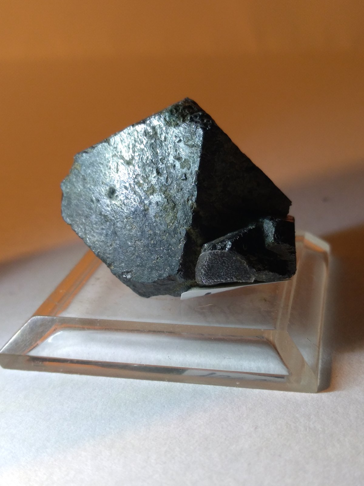 Magnetite
33 x 28 mm
(Autor: Sante Celiberti)