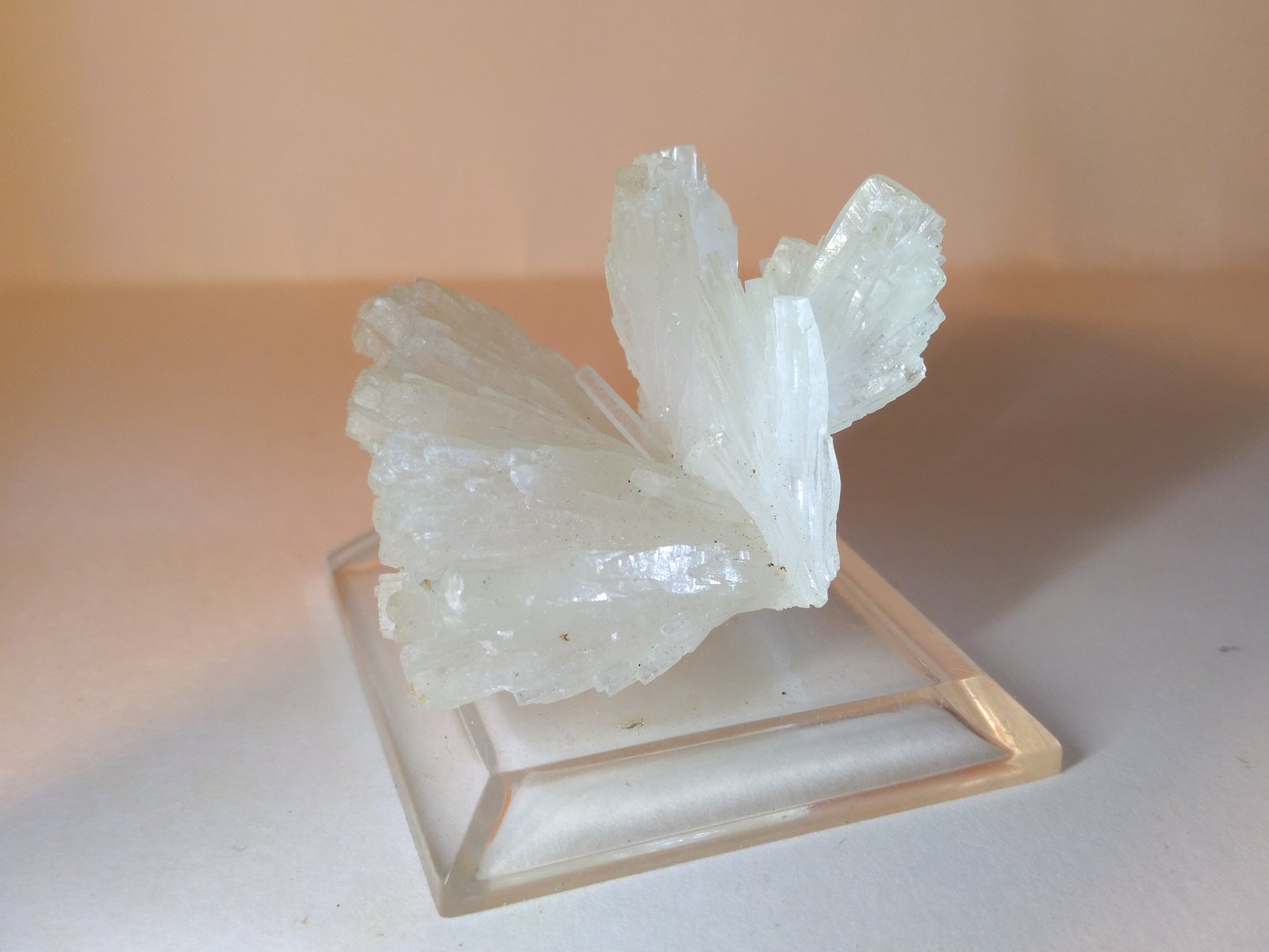 Celestine, Sulphur
44 x 40 mm
(Autor: Sante Celiberti)
