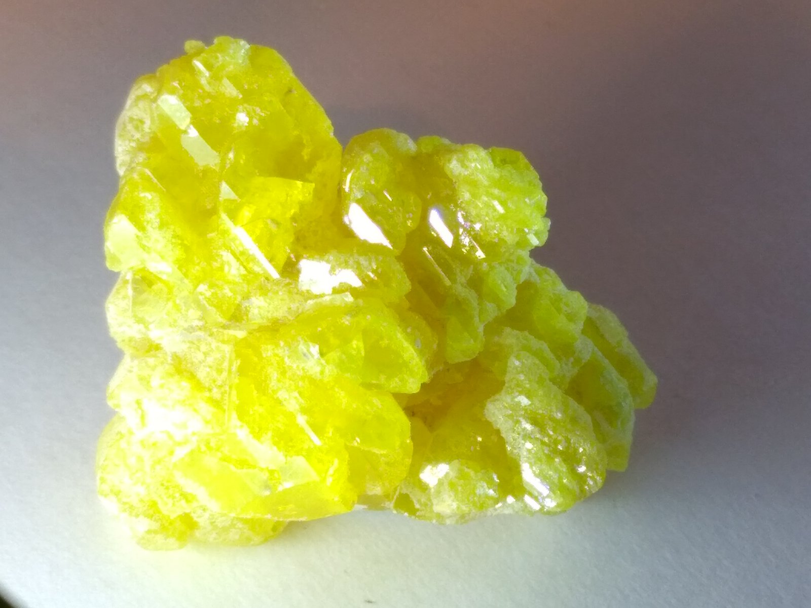 Sulphur
38 x 32 mm
(Autor: Sante Celiberti)