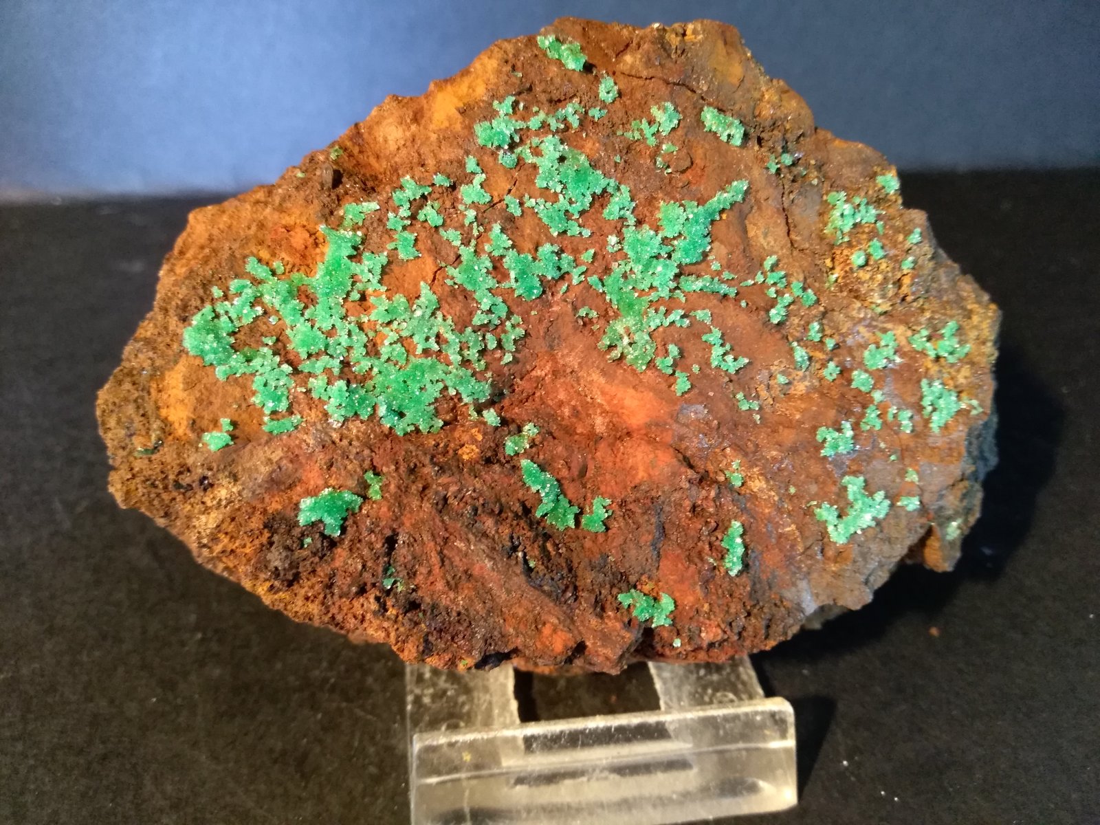 Cuproadamite
10,4 x 7 cm
(Autor: Sante Celiberti)