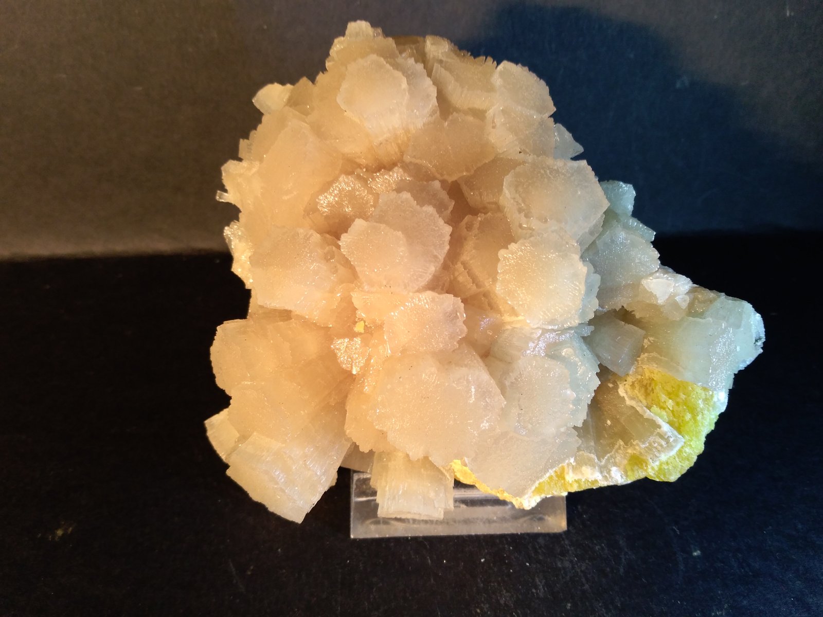 Aragonite, Sulphur
10 x 9 cm
(Autor: Sante Celiberti)