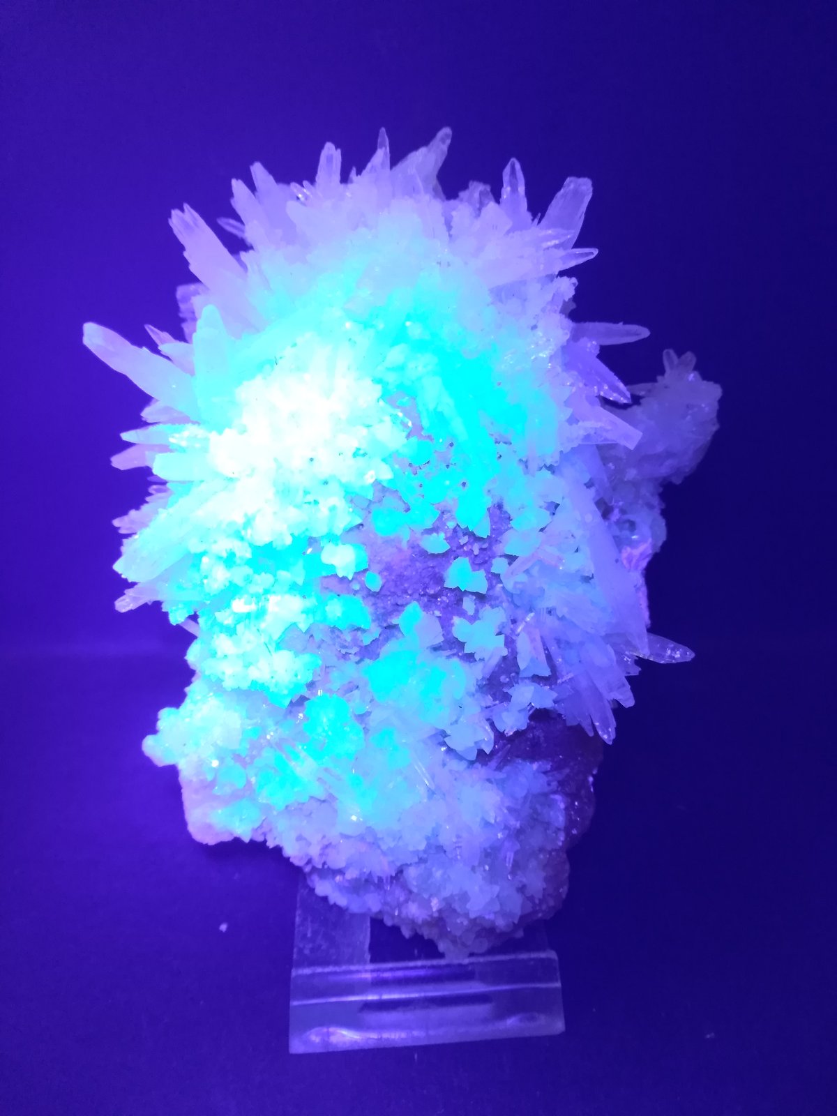 Celestine, Sulphur, Calcite
11,5 x 9 cm
(Autor: Sante Celiberti)