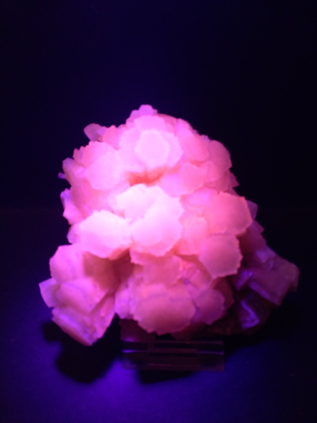 Aragonite, Sulphur
10 x 9 cm
(Autor: Sante Celiberti)