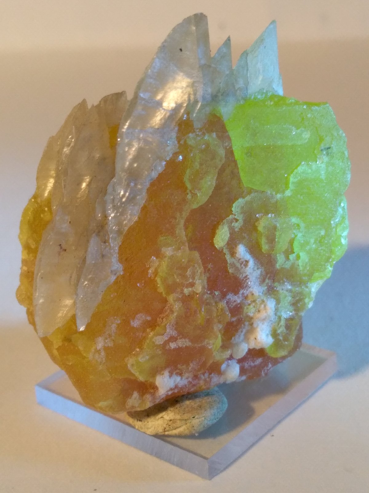 Sulphur, Gypsum
50 x 45 mm
(Autor: Sante Celiberti)