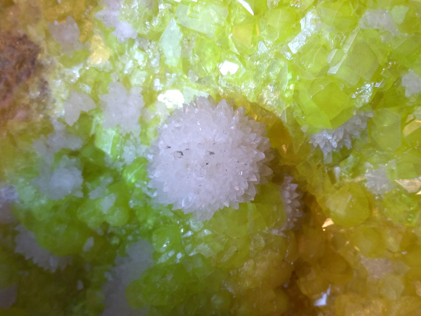 Sulphur, Aragonite
14,5 x 13,5 cm
(Autor: Sante Celiberti)
