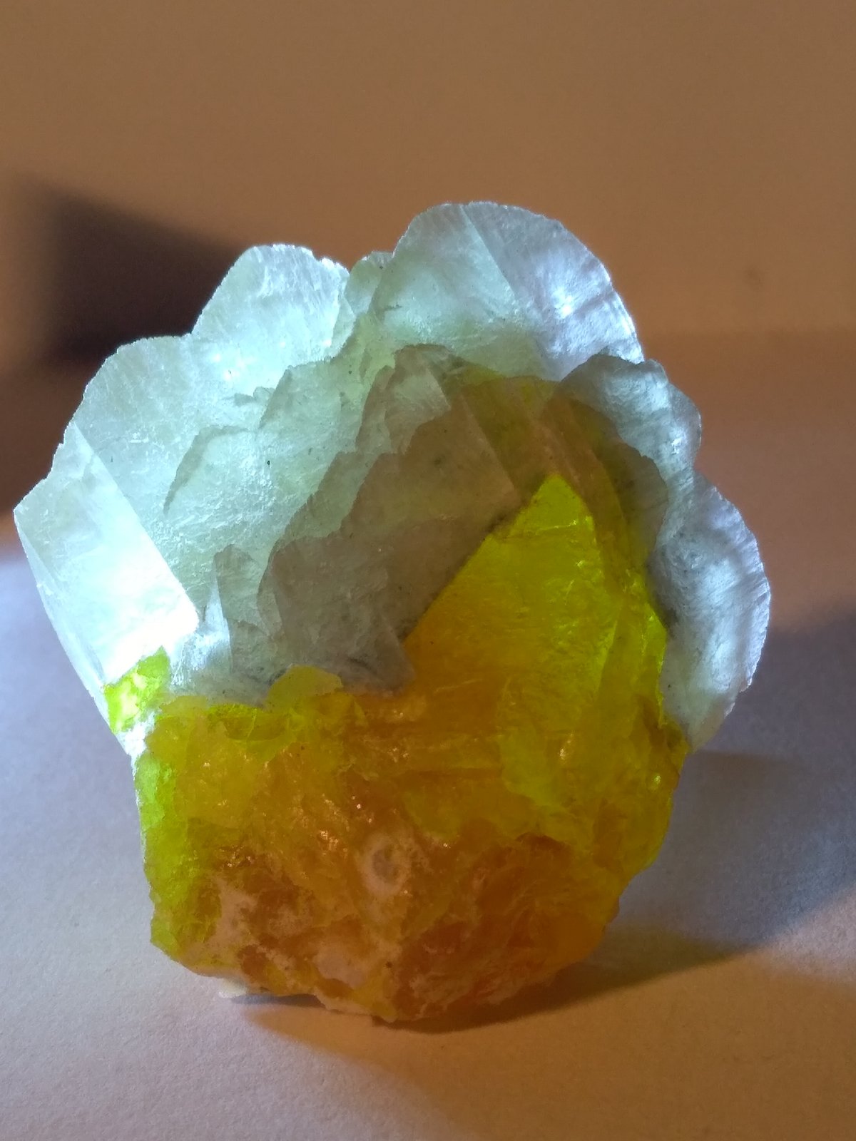 Sulphur, Gypsum
50 x 45 mm
(Autor: Sante Celiberti)