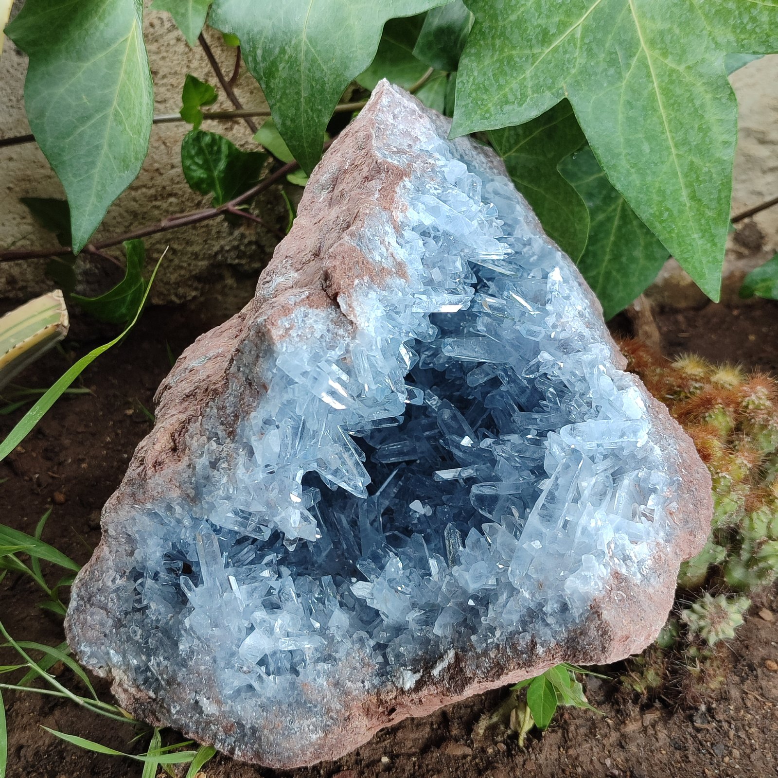 Celestine
23×22×12cm
(Autor: cristal prince22)
