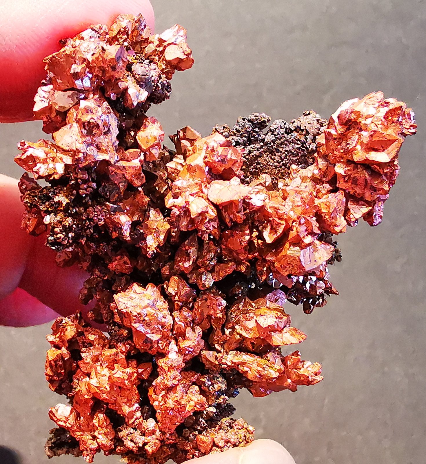 Copper
5cmx5cm
(Autor: Enrique Llorens)