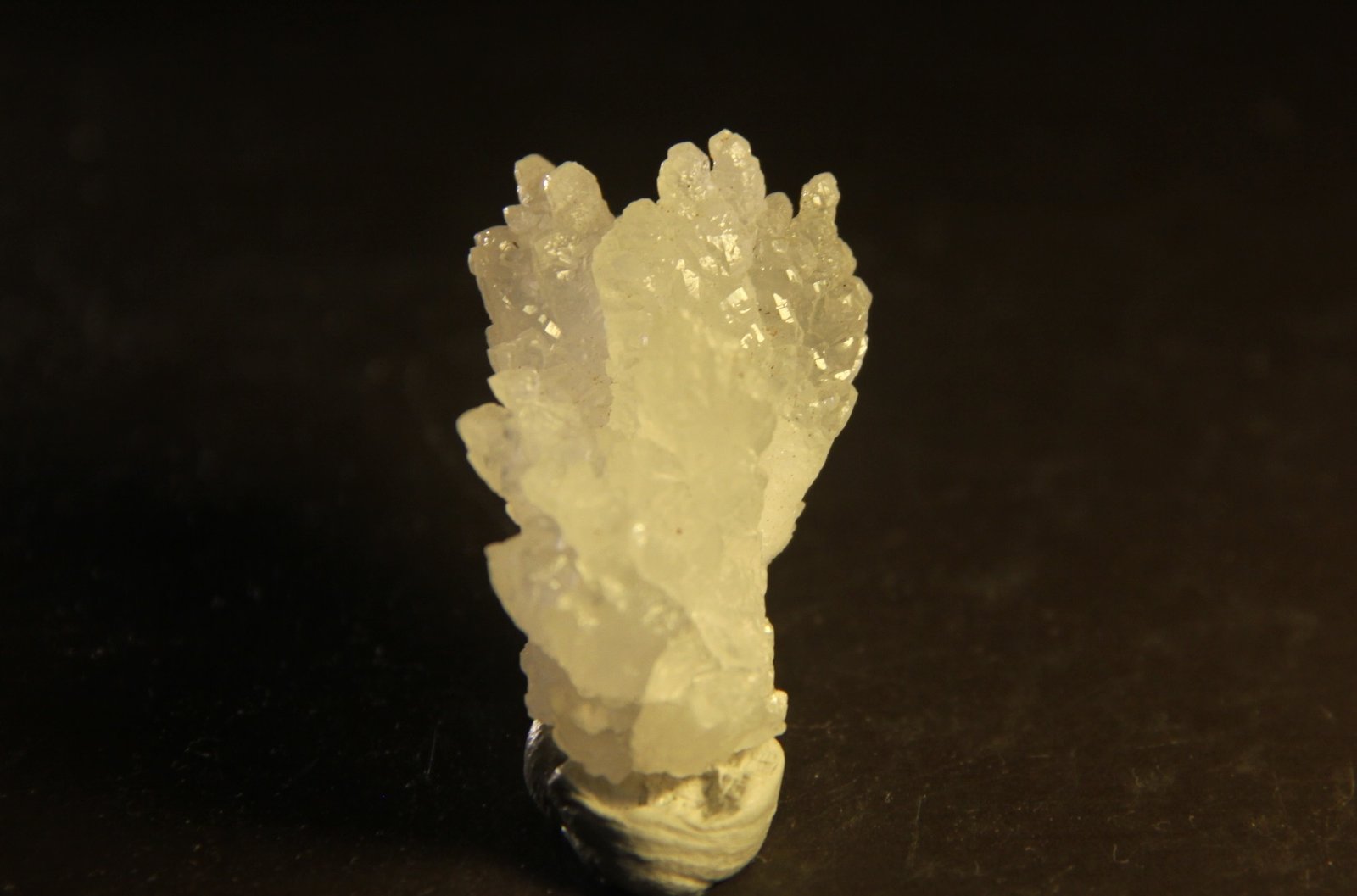 Calcite
24mm x 37mm x 20mm
(Autor: Firmo Espinar)