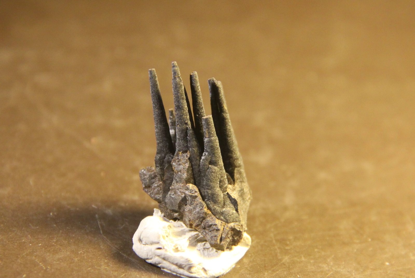 Goethite
20mm x 31mm x 18mm
(Autor: Firmo Espinar)