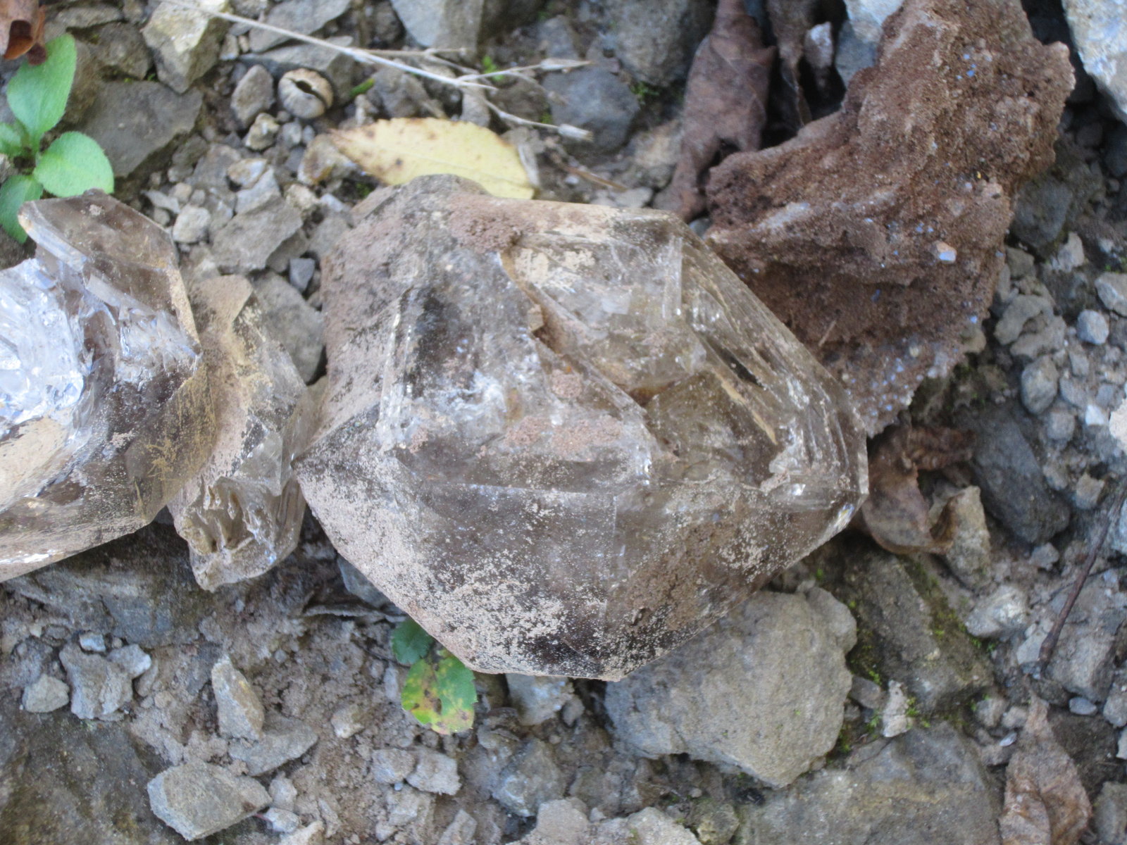 Quartz
10 cm.
(Autor: vic rzonca)
