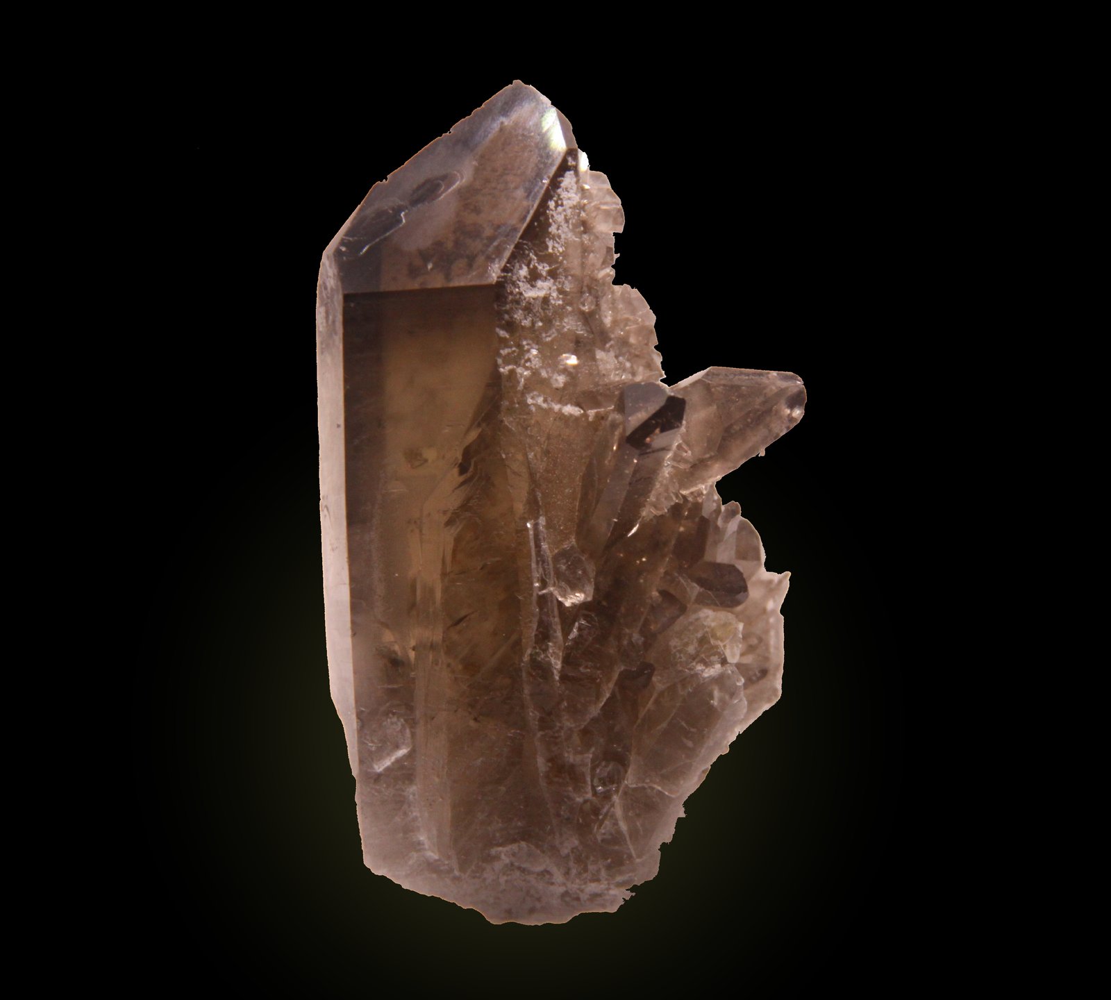 Quartz (variety smoky)
54 mm x 86 mm x 41 mm
(Autor: Firmo Espinar)