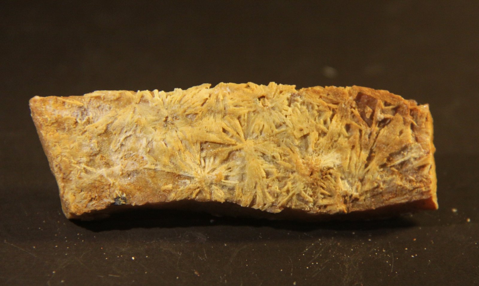 Baryte
87mm x 23mm x 17mm
(Autor: Firmo Espinar)