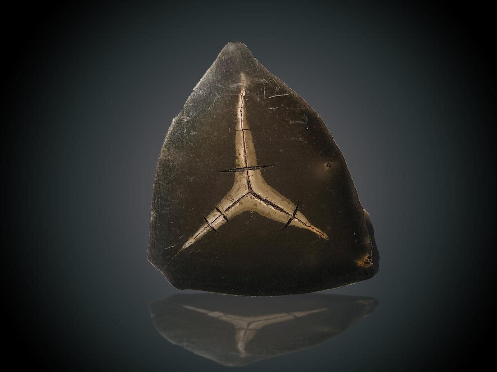 Calcite
41 mm x 52 mm x 26 mm
(Autor: Firmo Espinar)