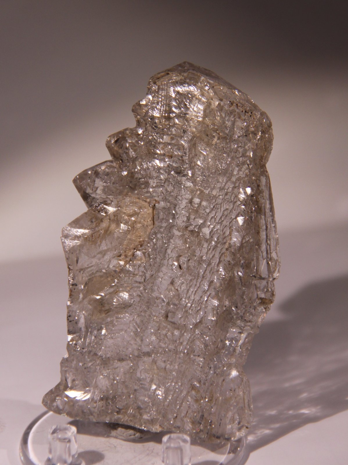 Quartz
51mm x 83mm x 15mm
(Autor: Firmo Espinar)