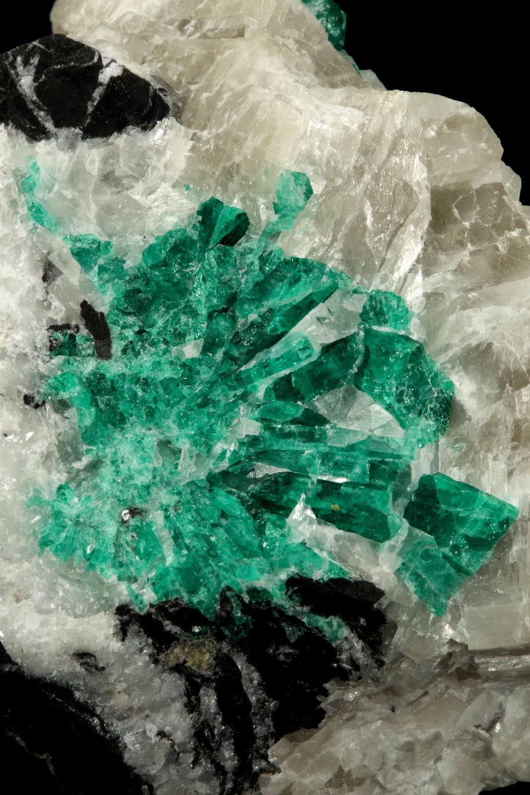 Beryl (variety emerald), Calcite
7cm across
(Autor: Fiebre Verde)