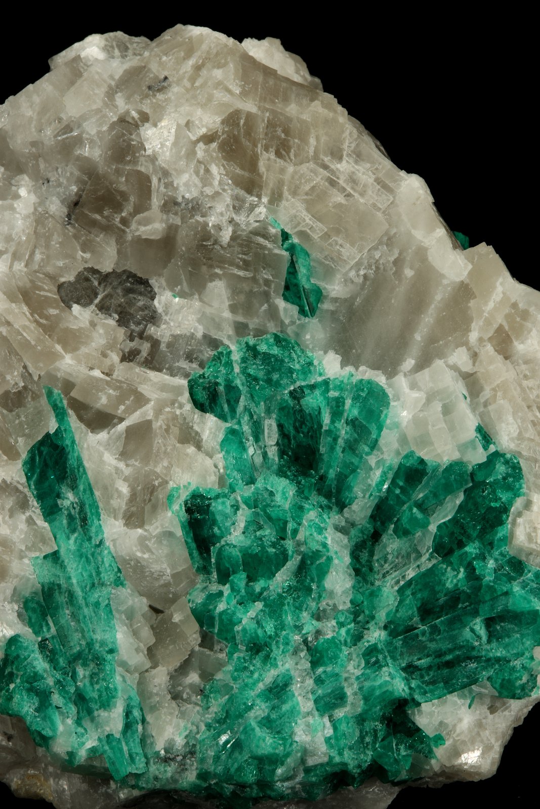 Beryl (variety emerald), Calcite
7cm across
(Autor: Fiebre Verde)