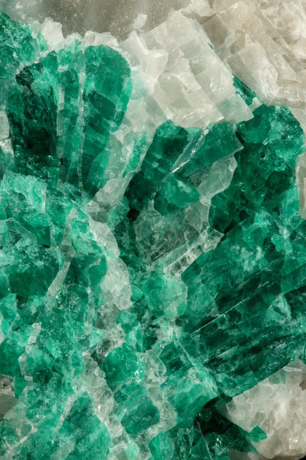 Beryl (variety emerald), Calcite
7cm across
(Autor: Fiebre Verde)