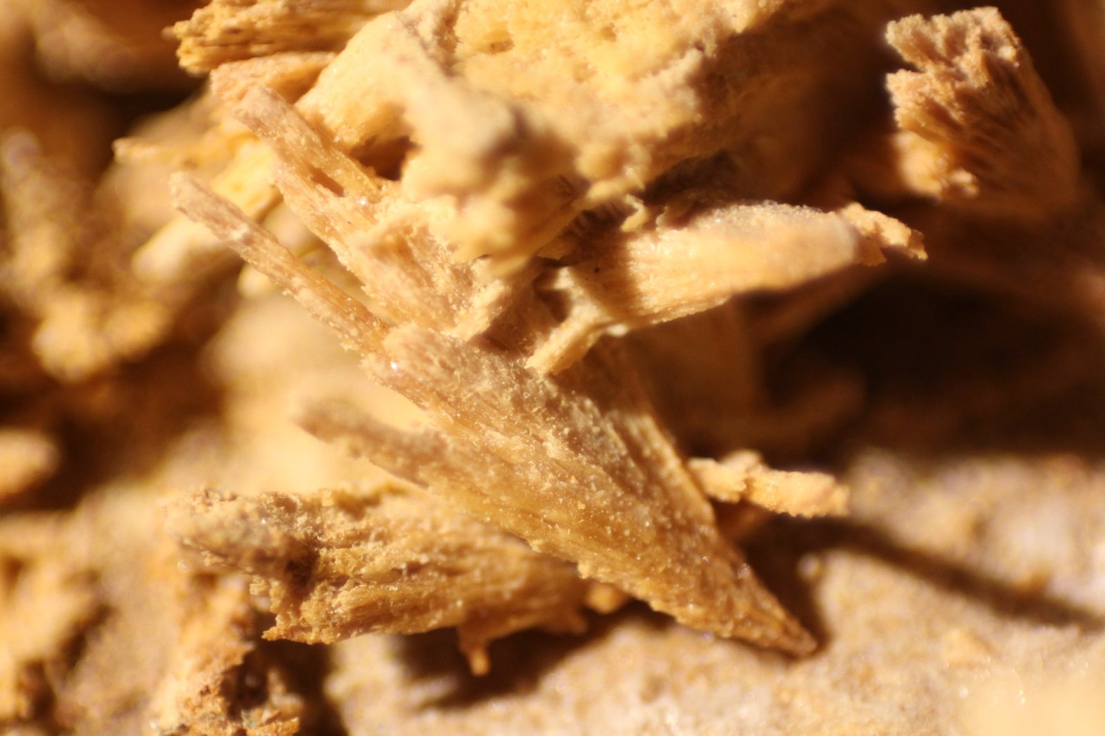 Baryte
FOV 12 mm
(Autor: Firmo Espinar)