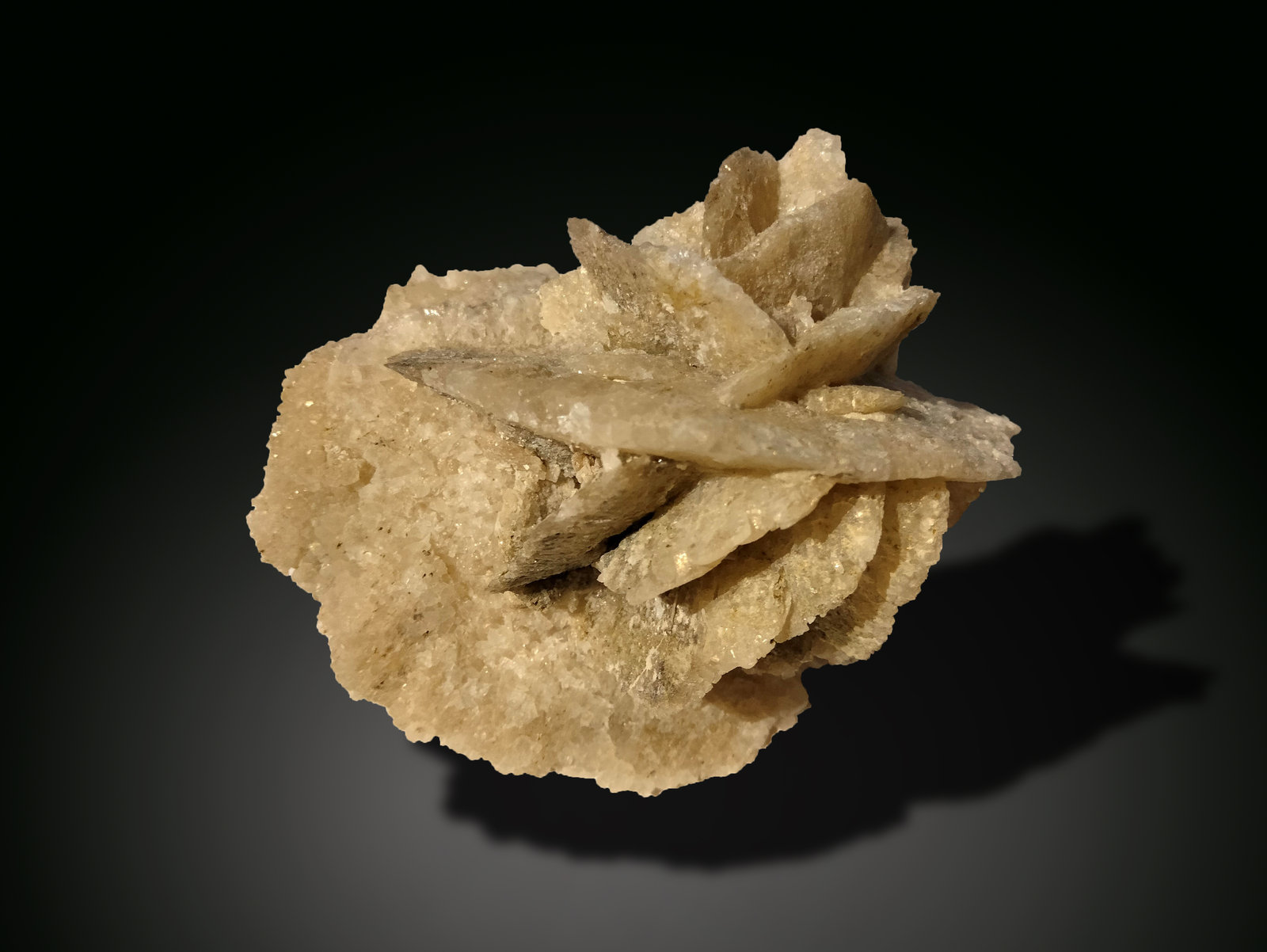 Calcite after Gypsum
75 mm x 63 mm x 62 mm
(Autor: Firmo Espinar)