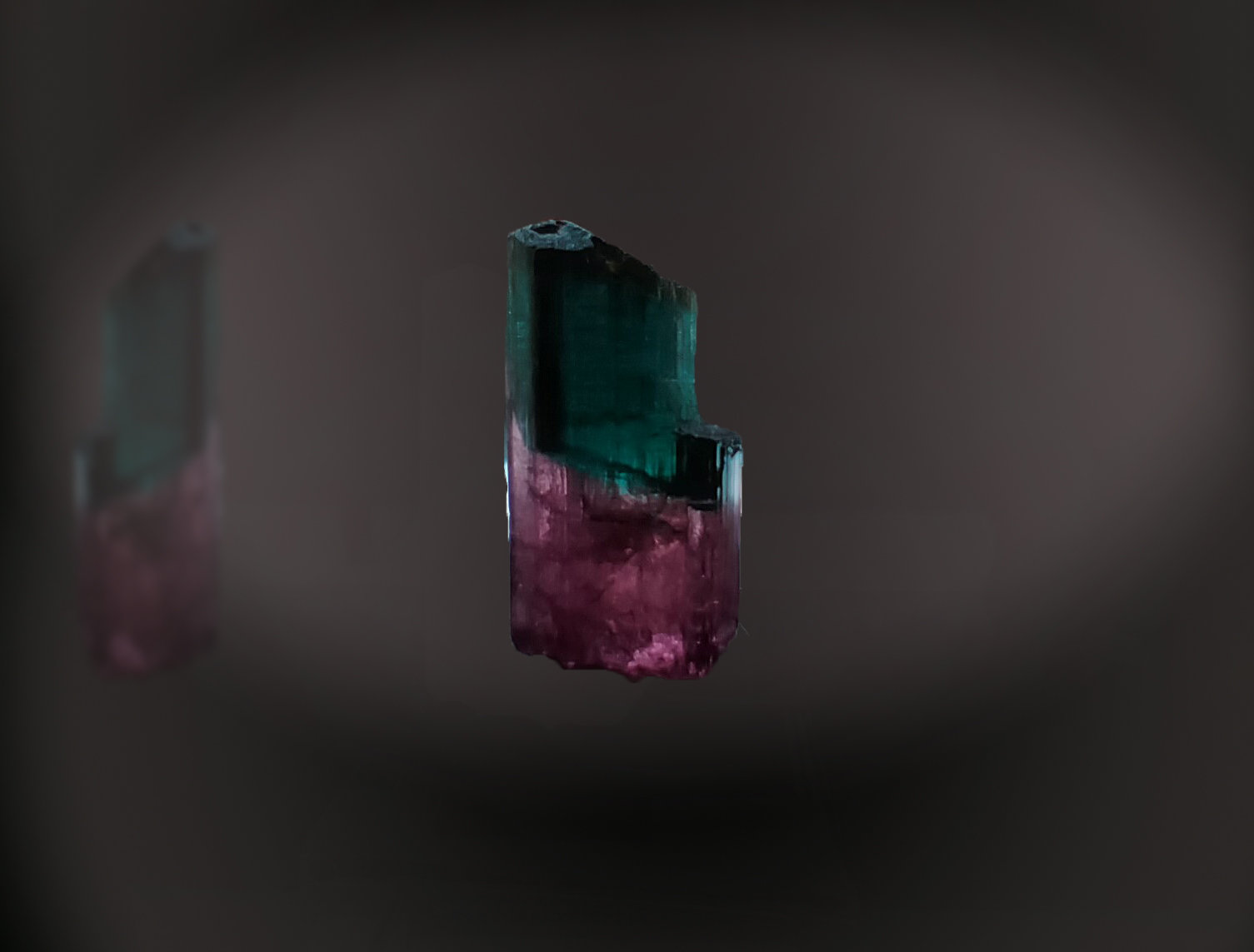 Elbaite
11 mm x 22 mm x 8 mm
(Autor: Firmo Espinar)