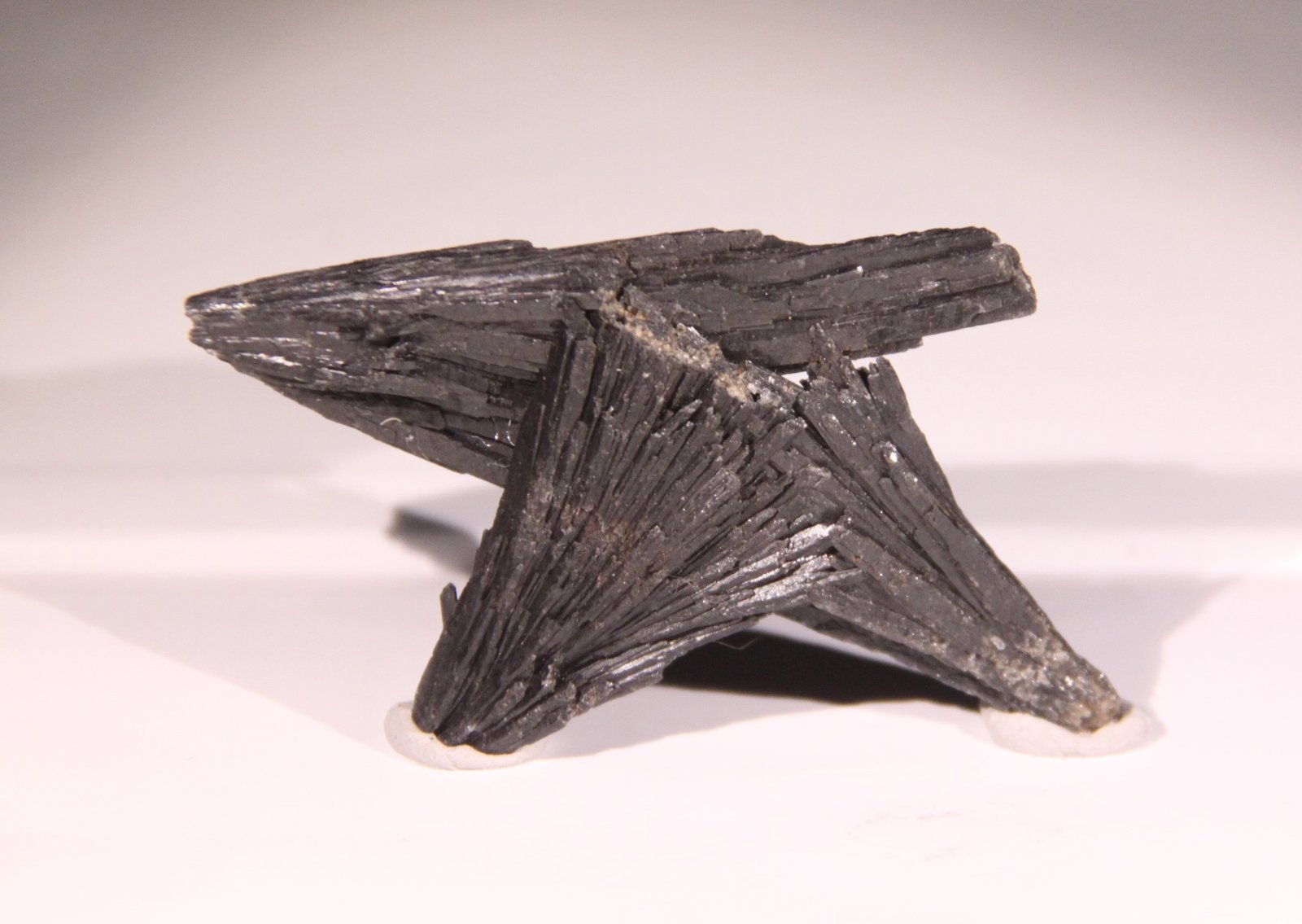 Kyanite
73mm x 43mm x 11mm
(Autor: Firmo Espinar)