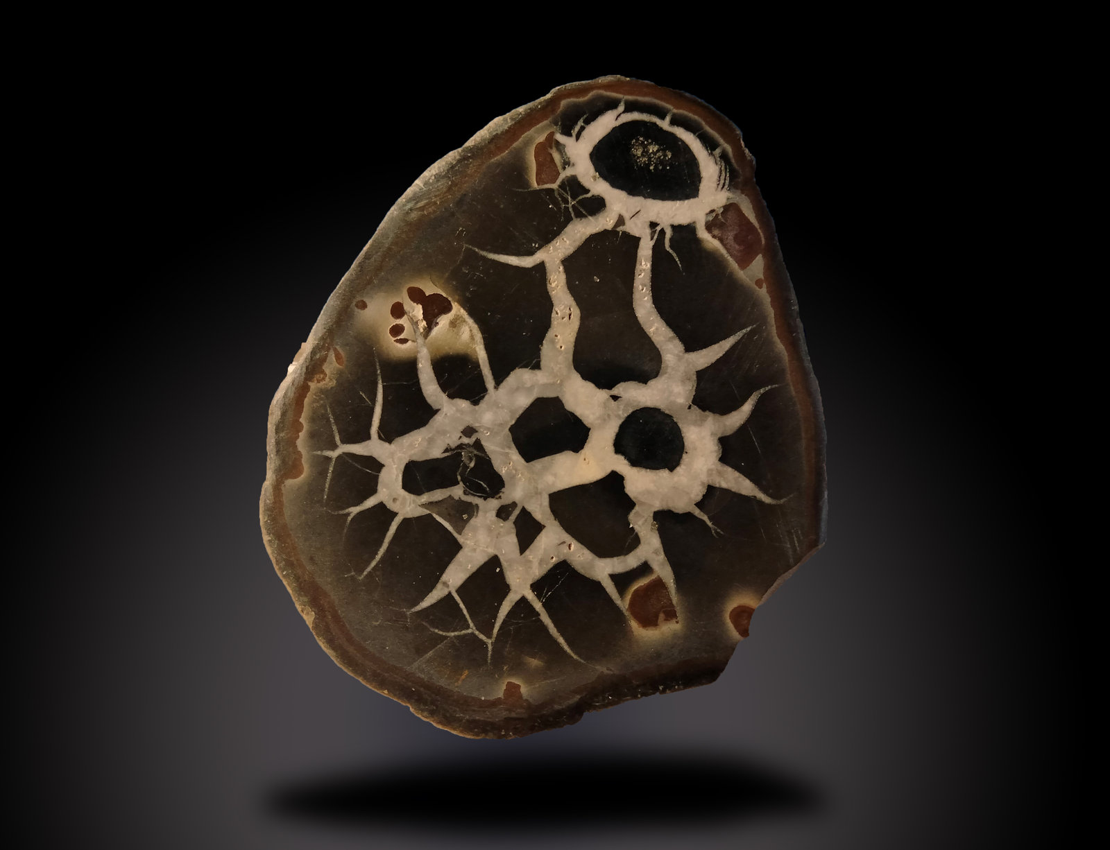 Calcite
62 mm x 76 mm x 18 mm
(Autor: Firmo Espinar)