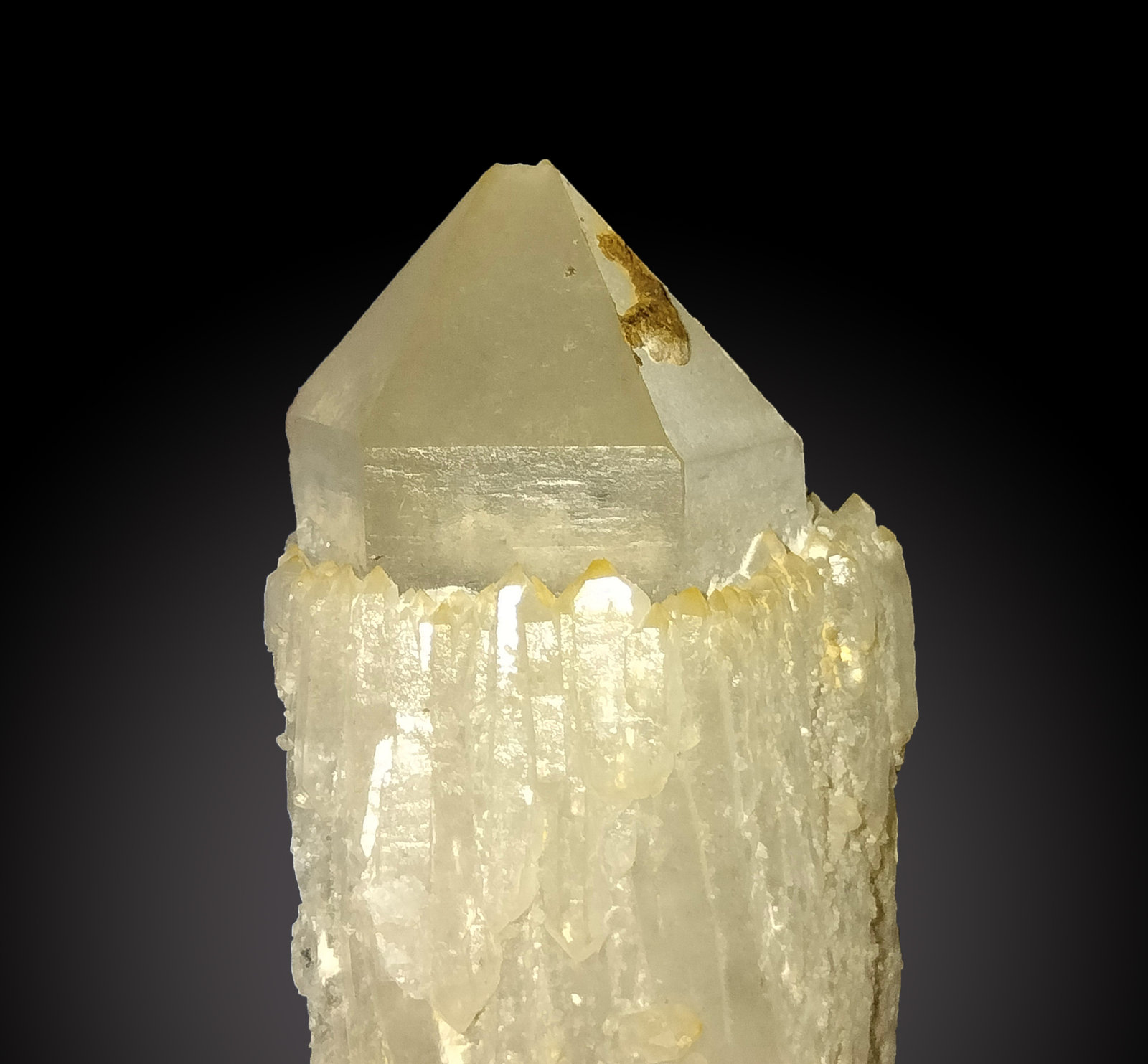 Quartz
103 mm x 26 mm x 25 mm
(Autor: Firmo Espinar)