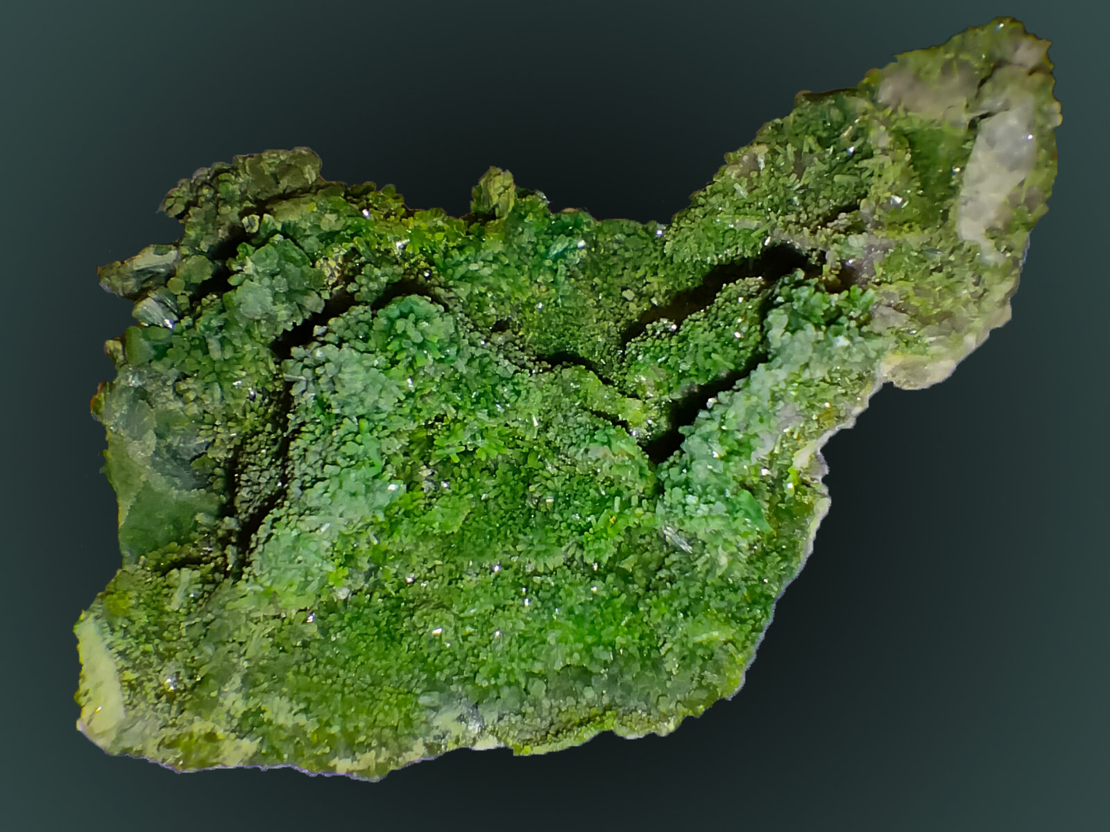 Pyromorphite
63 mm x 37 mm x 23 mm
(Autor: Firmo Espinar)