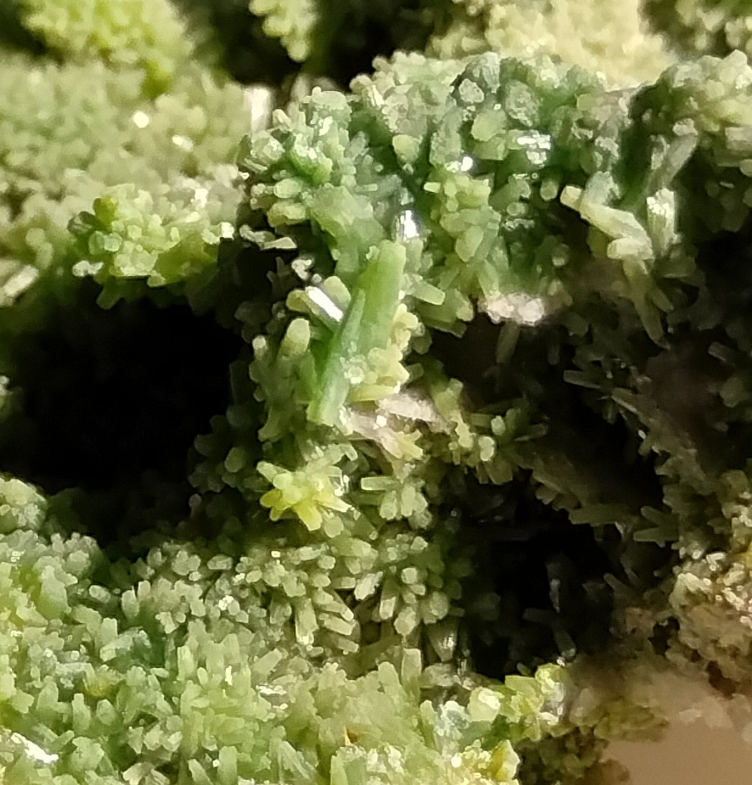 Pyromorphite
Close up.
(Autor: Firmo Espinar)