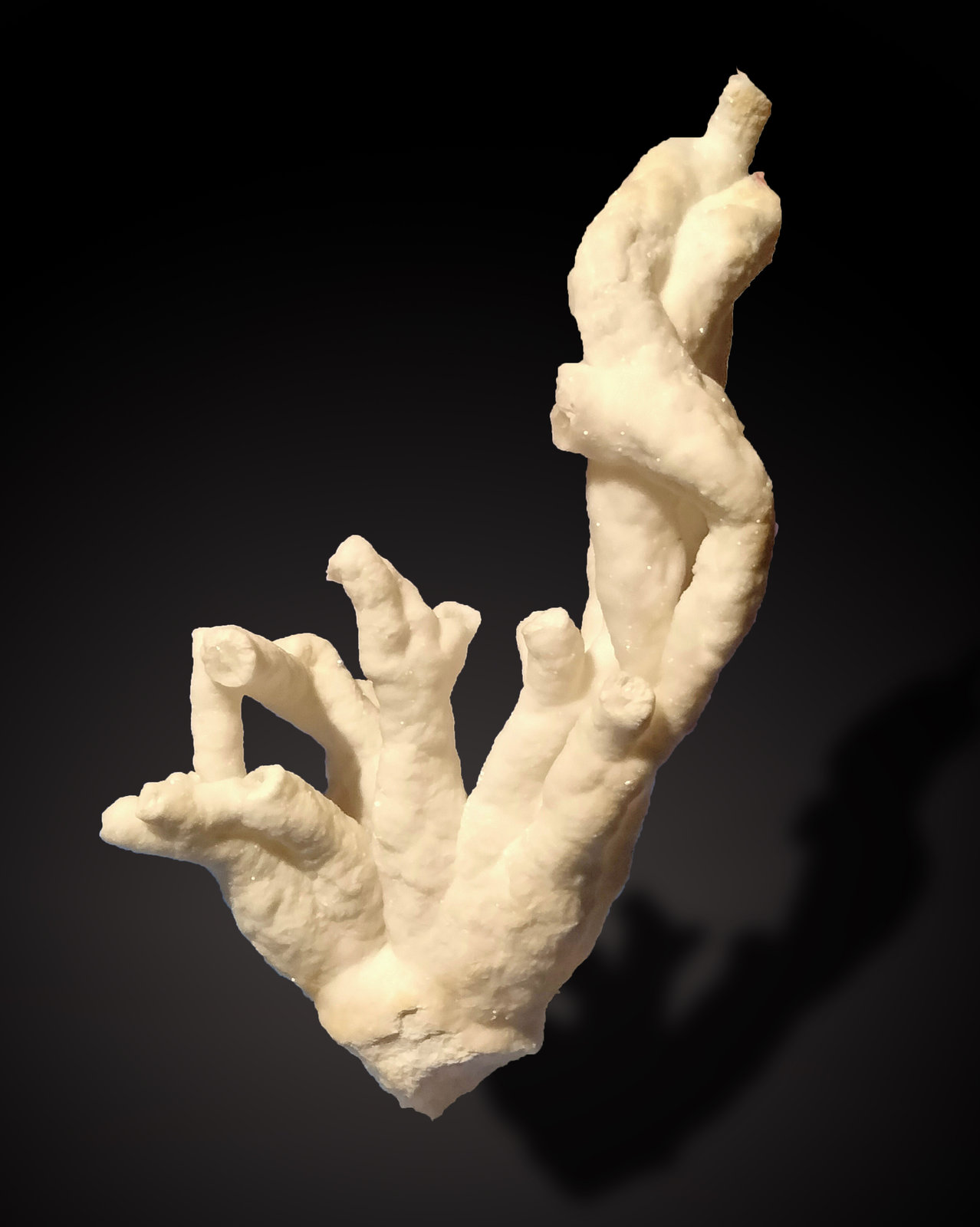 Aragonite
74 mm x 136 mm x 35 mm
(Autor: Firmo Espinar)