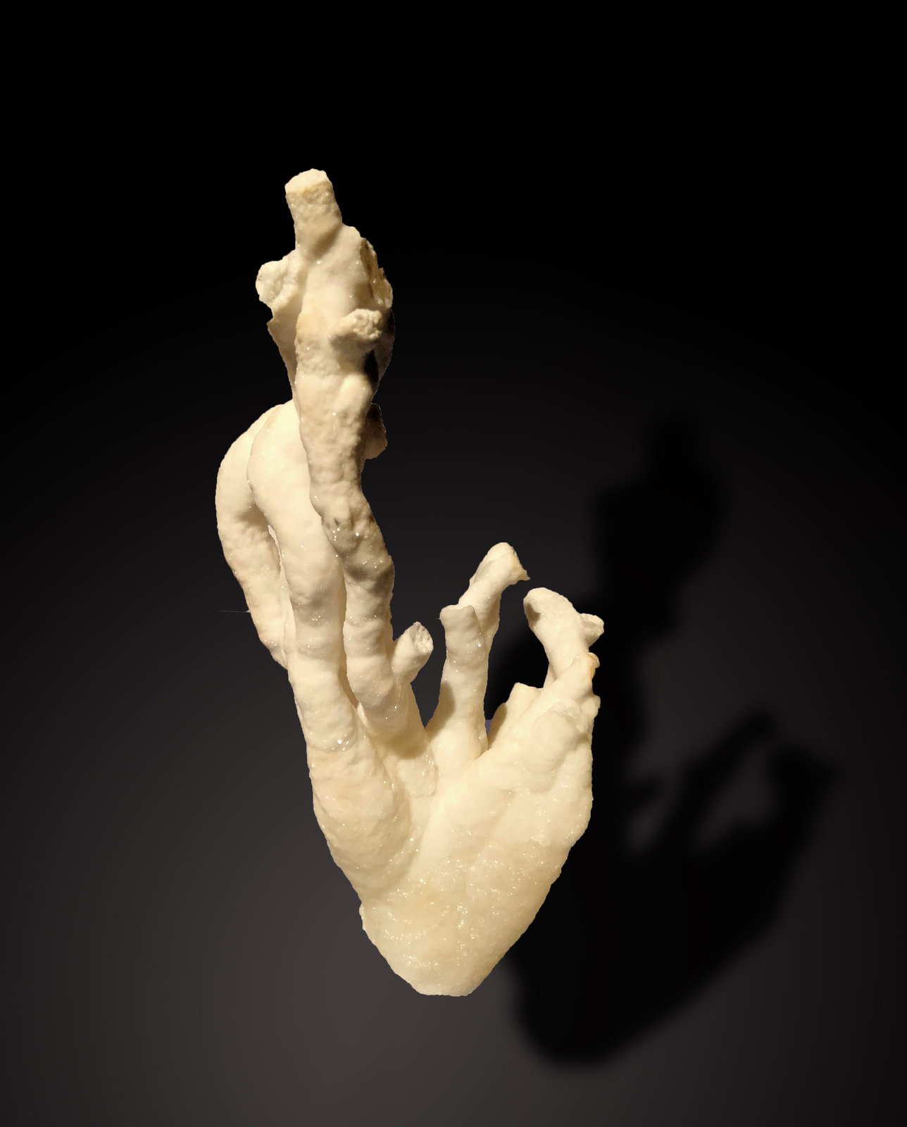 Aragonite
74 mm x 136 mm x 35 mm
(Autor: Firmo Espinar)