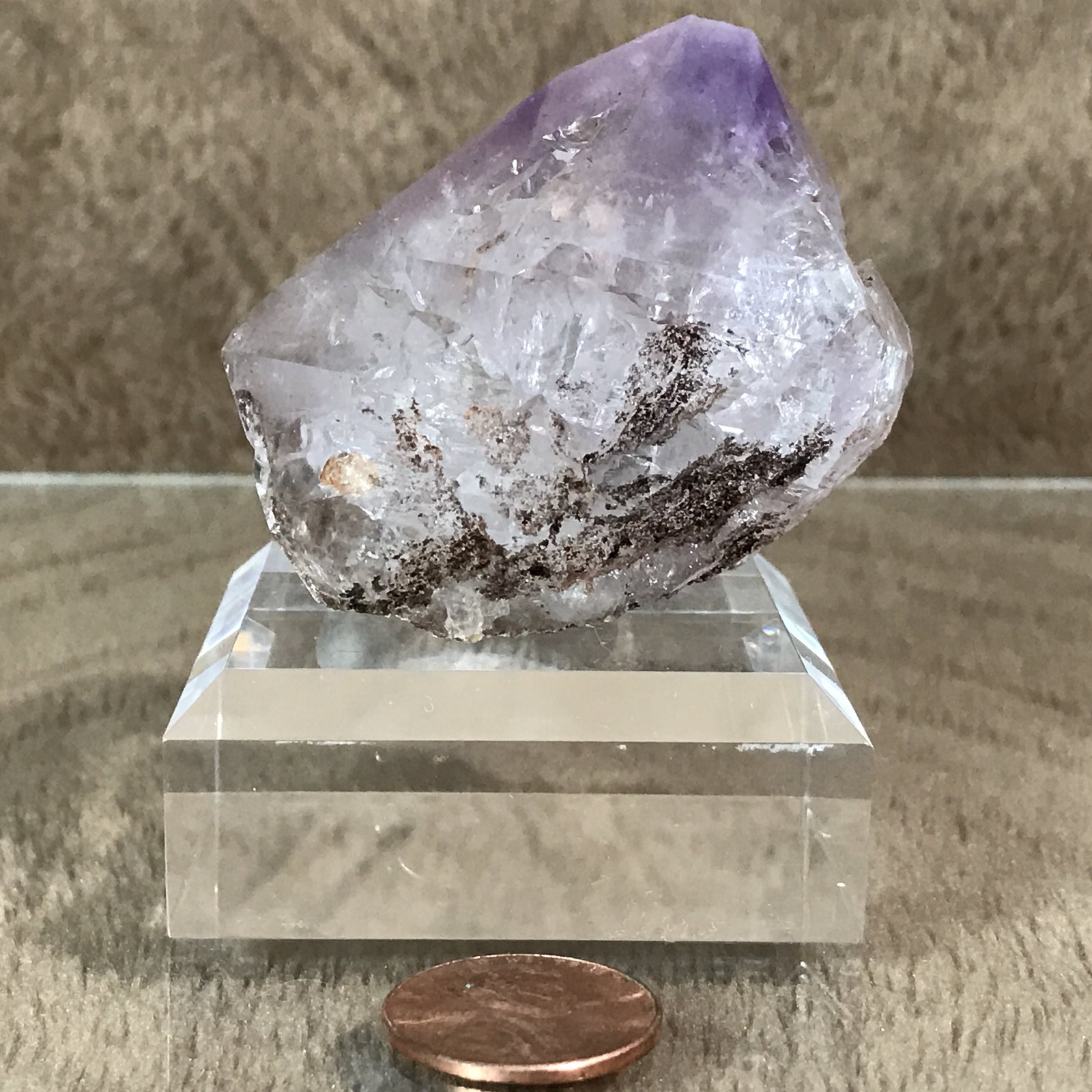 Quartz (variety amethyst)
5.5cm
(Autor: TripleRoyale)