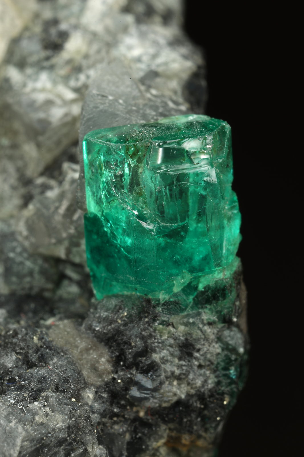 Beryl (variety emerald), Calcite, Pyrite
27x41x19mm, xl=7mm
(Autor: Fiebre Verde)
