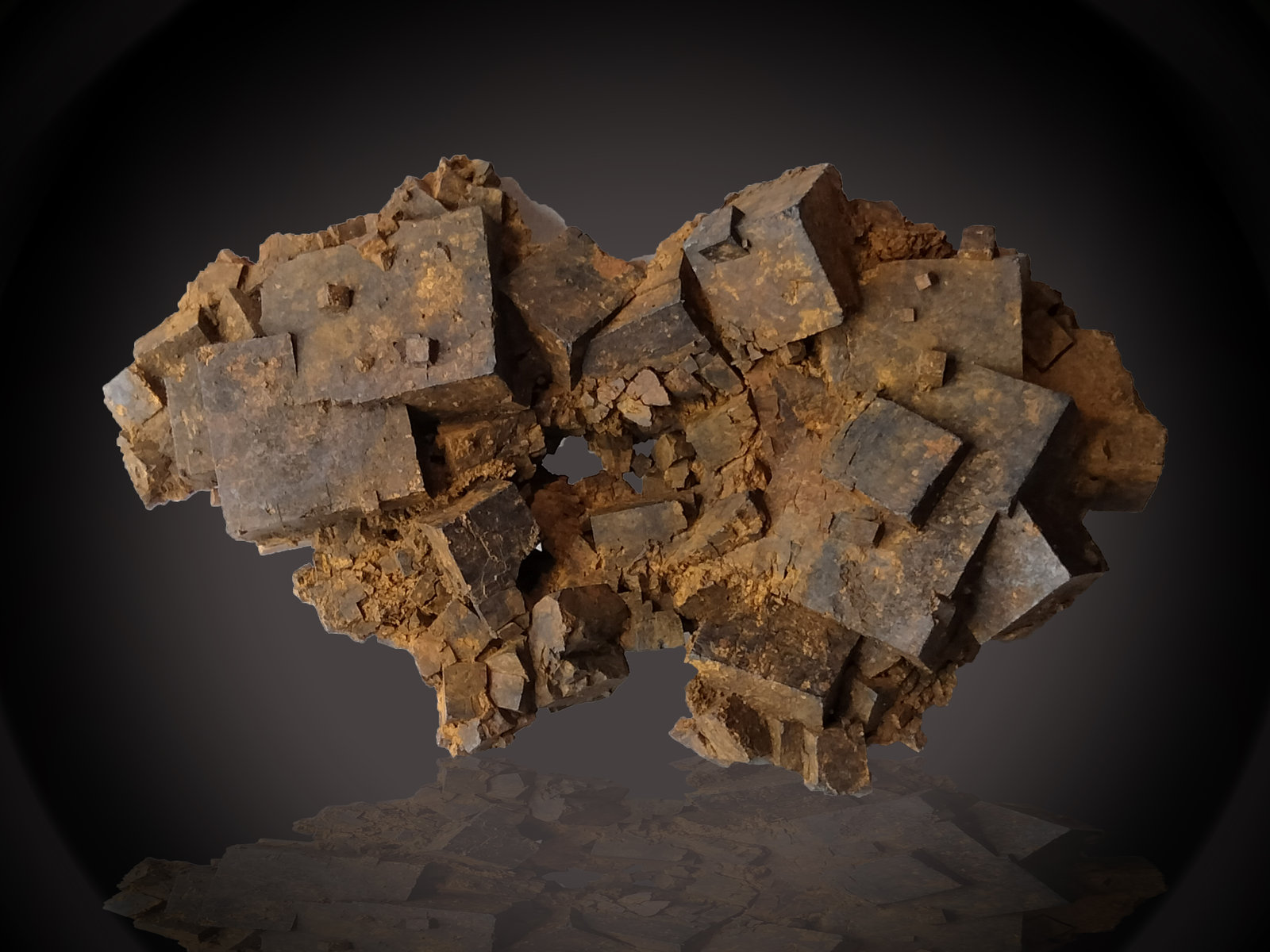 Goethite (limonite) after Pyrite
62 mm x 37 mm x 18 mm
(Autor: Firmo Espinar)