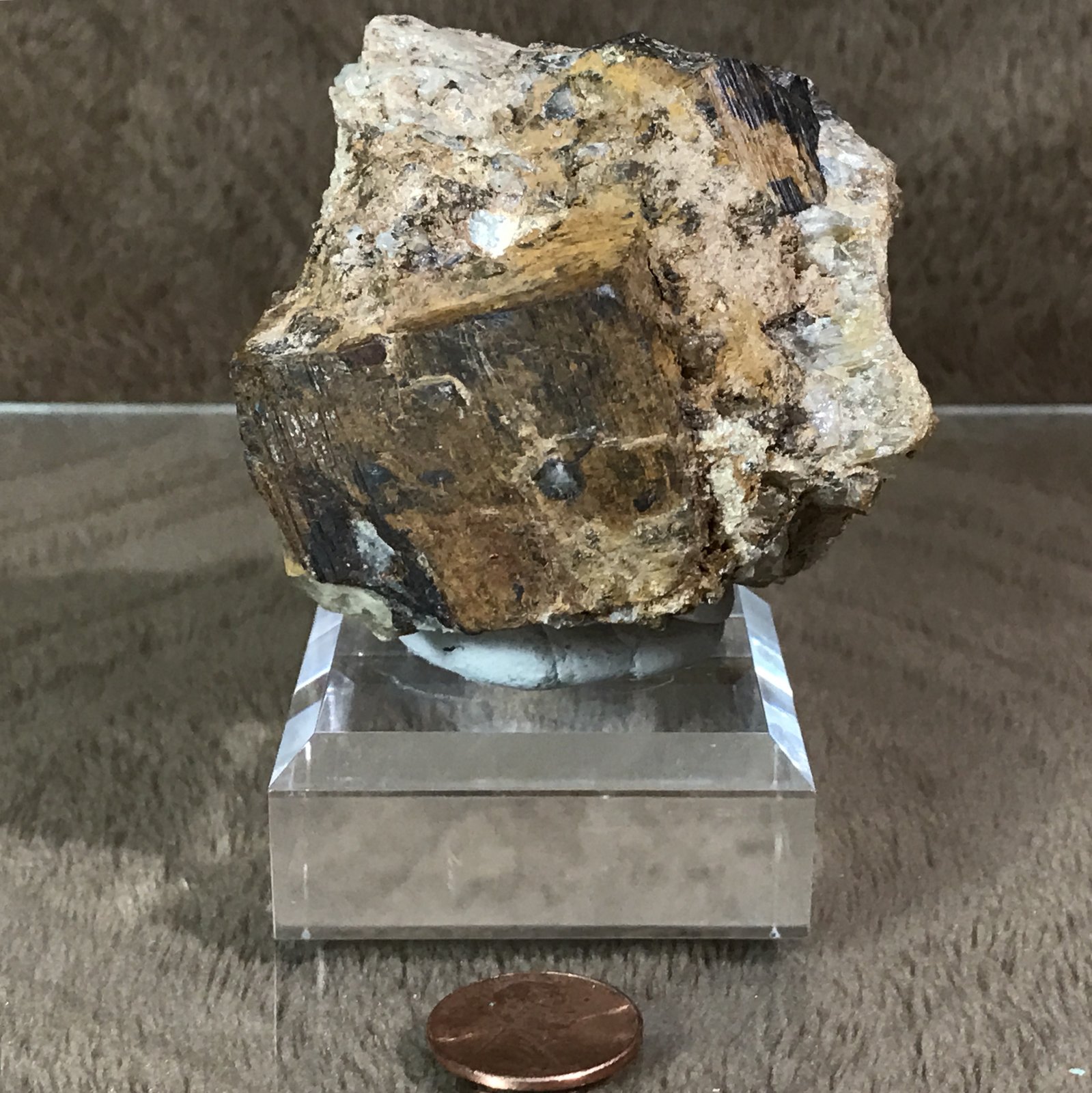 Goethite after Pyrite
7cm
(Autor: TripleRoyale)