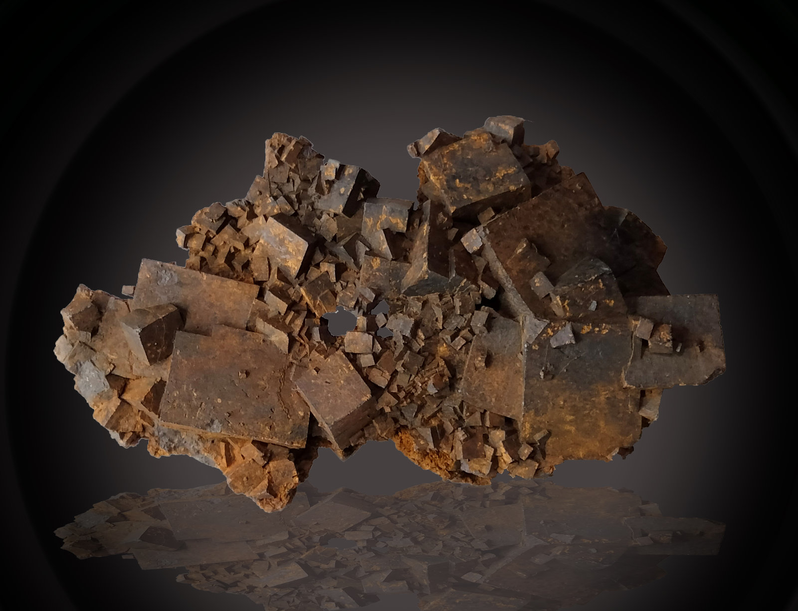 Goethite (limonite) after Pyrite
62 mm x 37 mm x 18 mm
(Autor: Firmo Espinar)