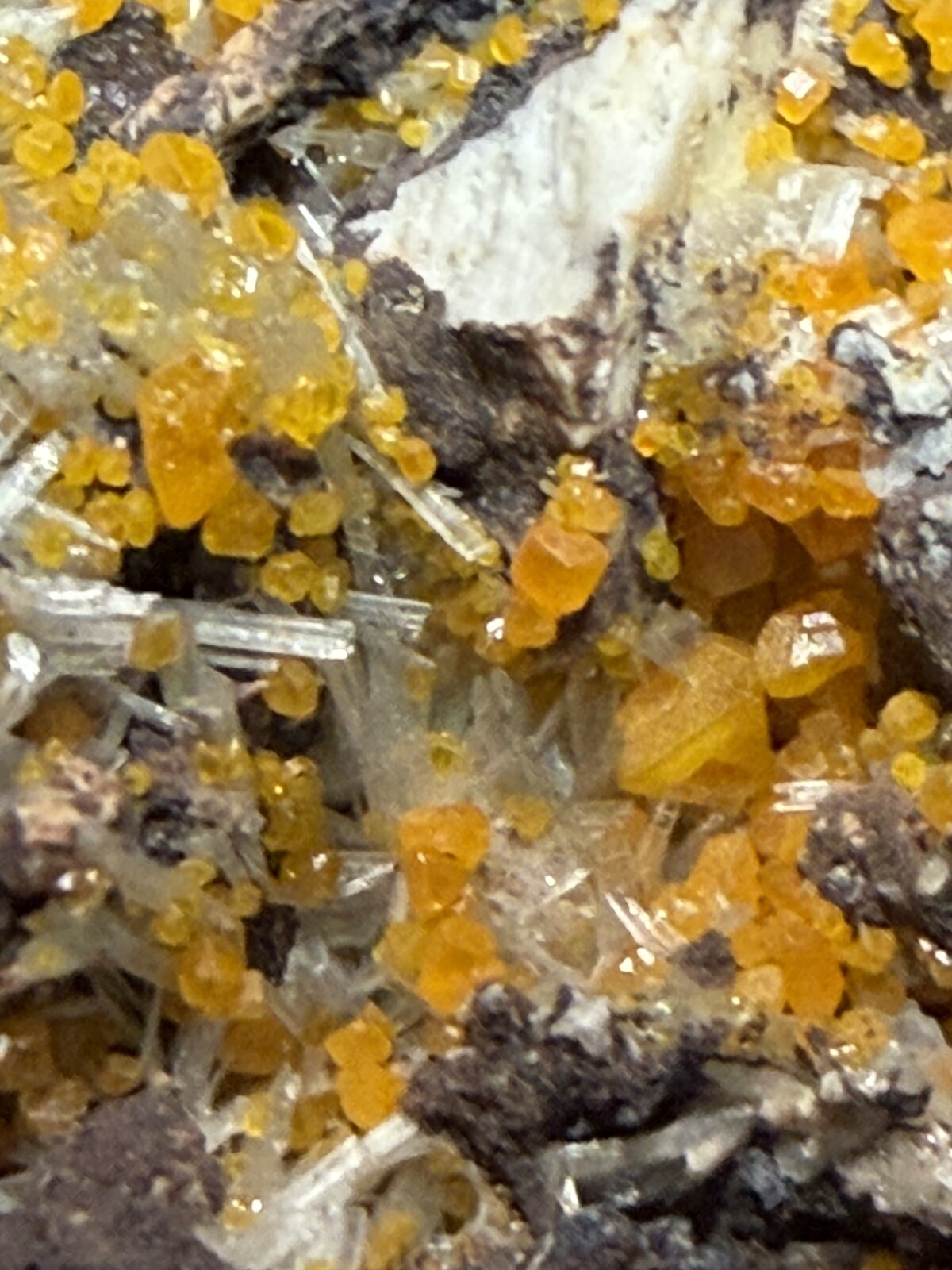 Wulfenite
36mm x 35mm x 31mm
(Autor: QT.JojoGuo)