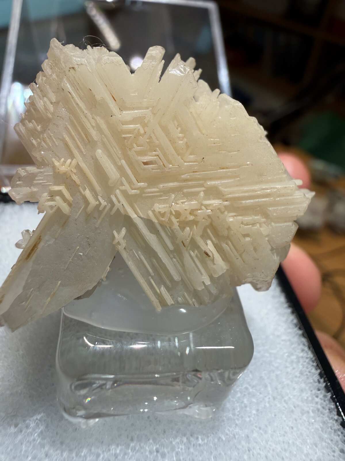 Cerussite
33mm x 29mm x 13mm
(Autor: QT.JojoGuo)