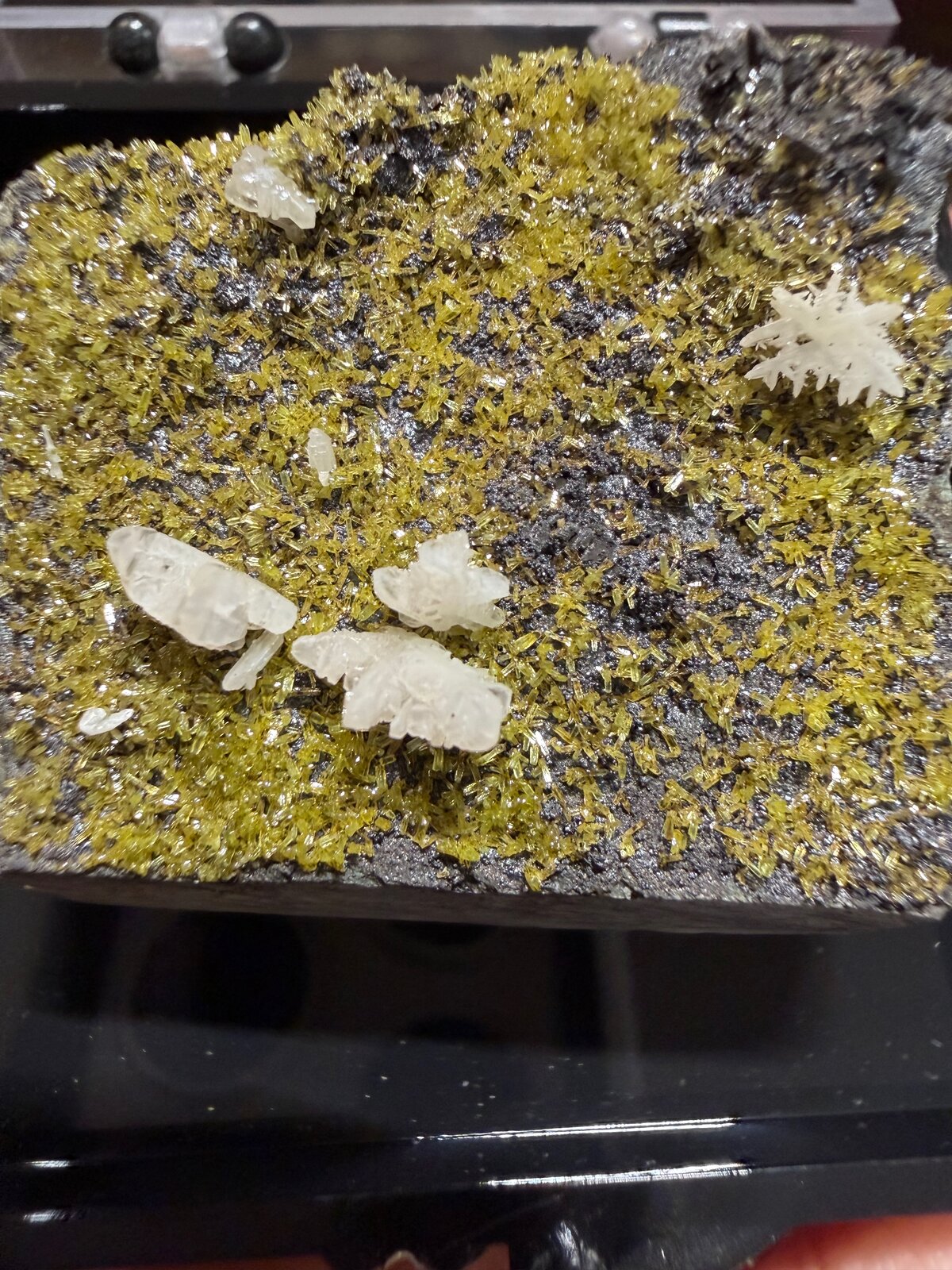 Pyromorphite, Cerussite
30mm x 30mm x 22mm
(Autor: QT.JojoGuo)