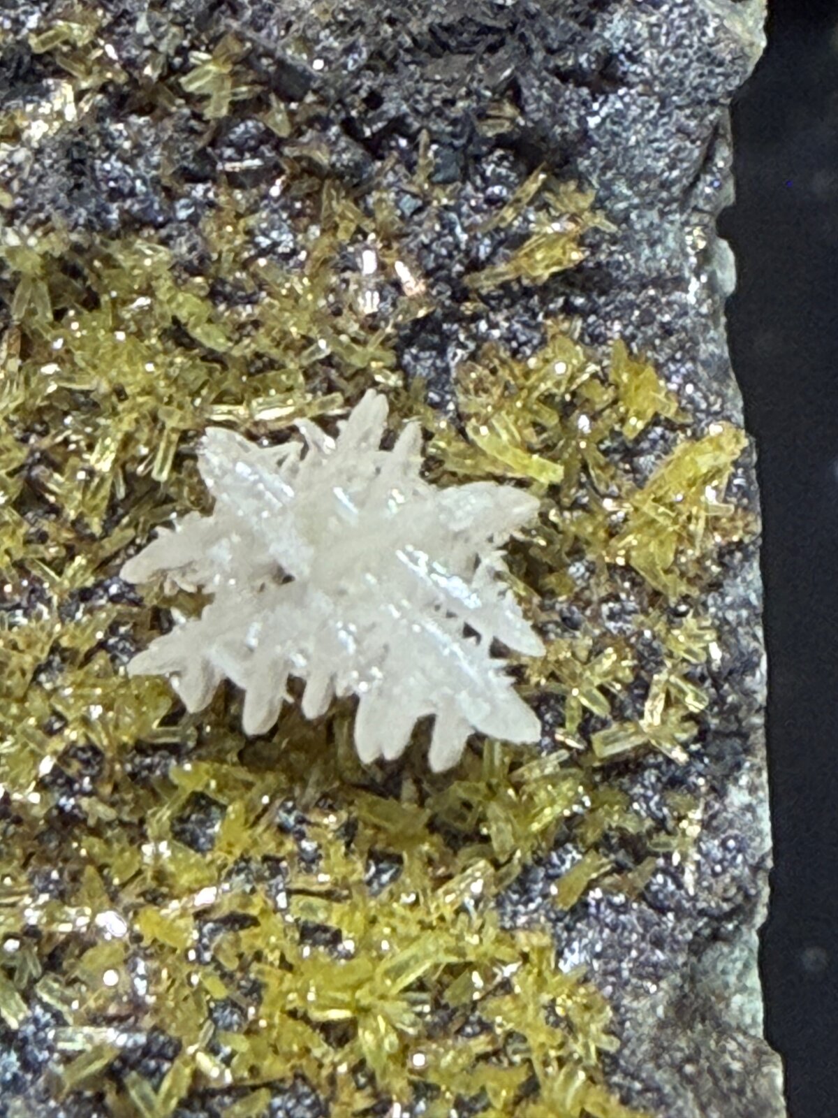 Pyromorphite, Cerussite
30mm x 30mm x 22mm
(Autor: QT.JojoGuo)