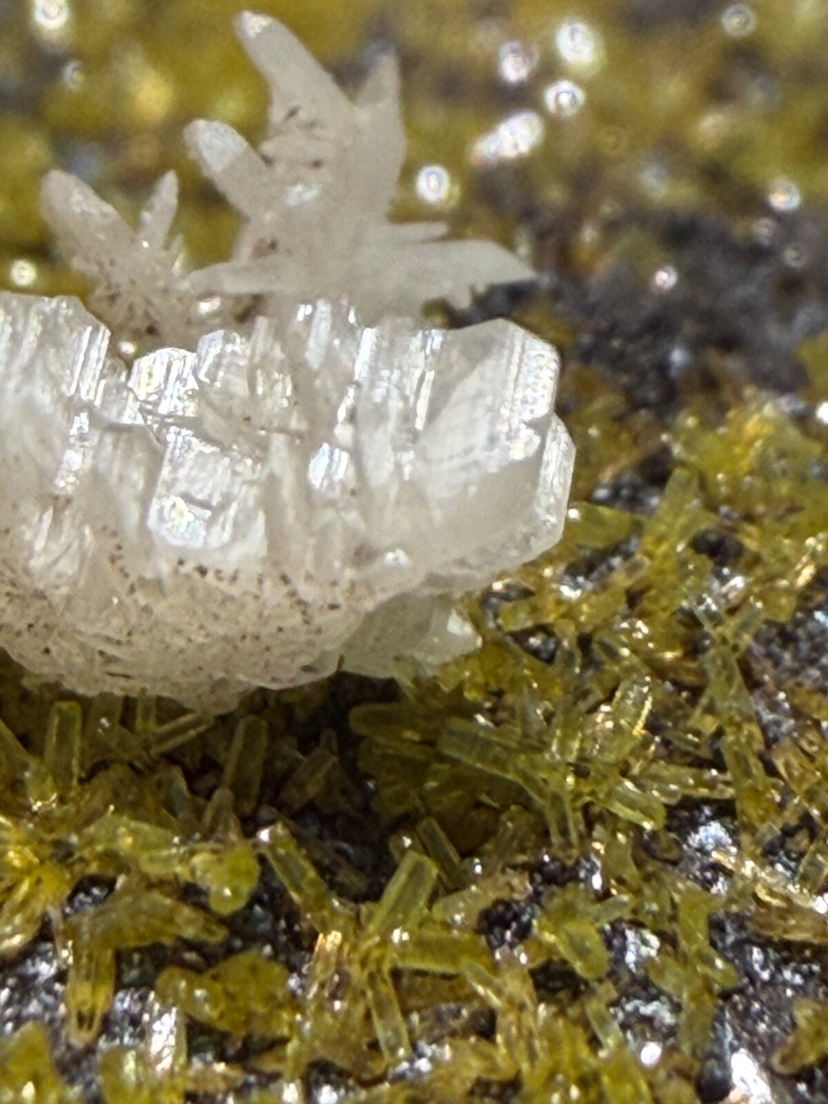 Pyromorphite, Cerussite
30mm x 30mm x 22mm
(Autor: QT.JojoGuo)